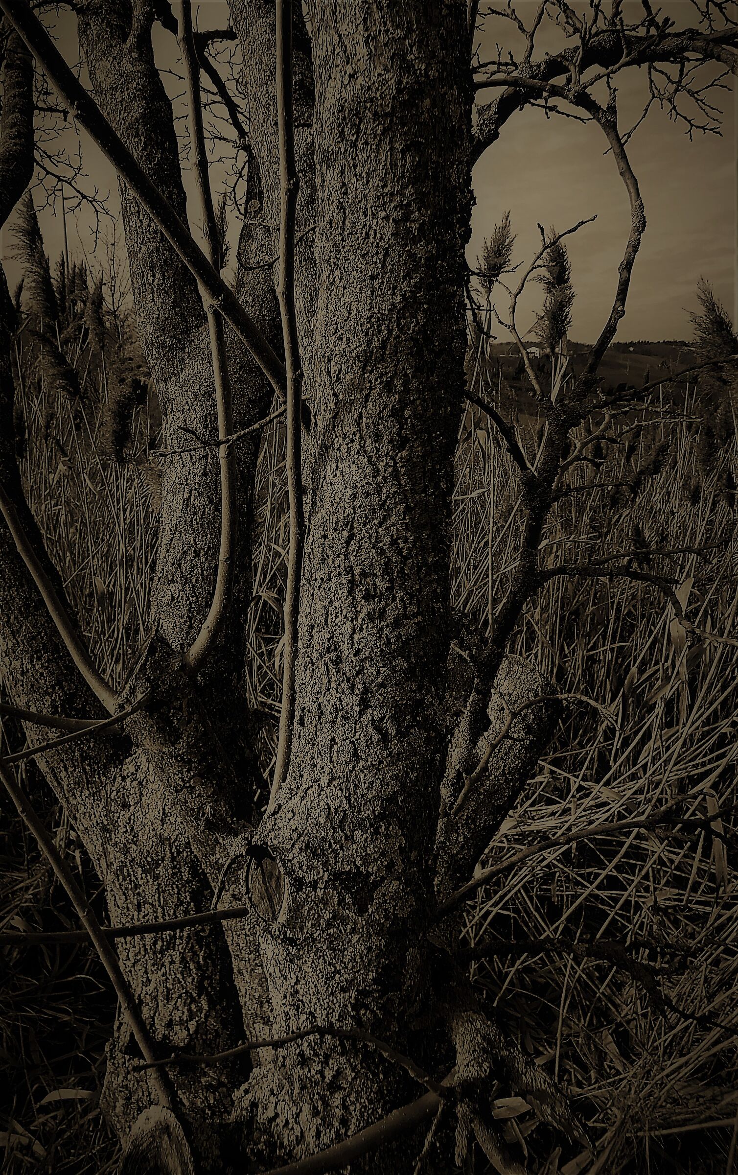Untitled Photo