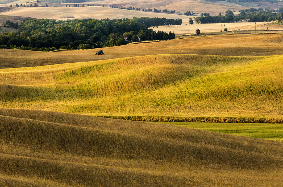 Tuscan landscape