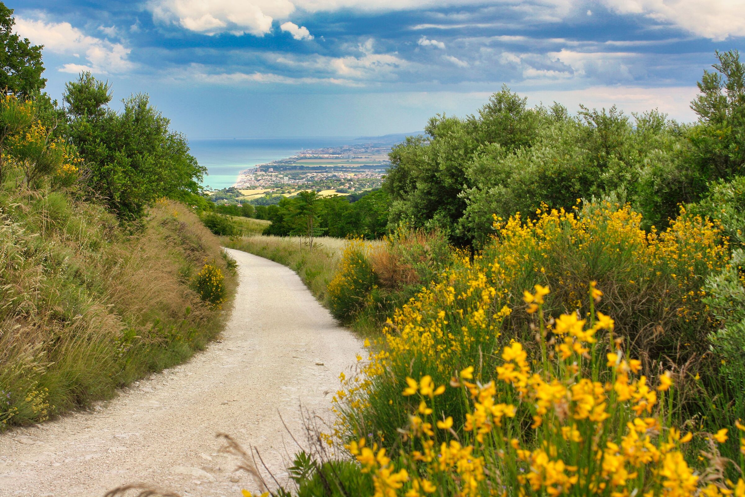 From the mountain to the sea