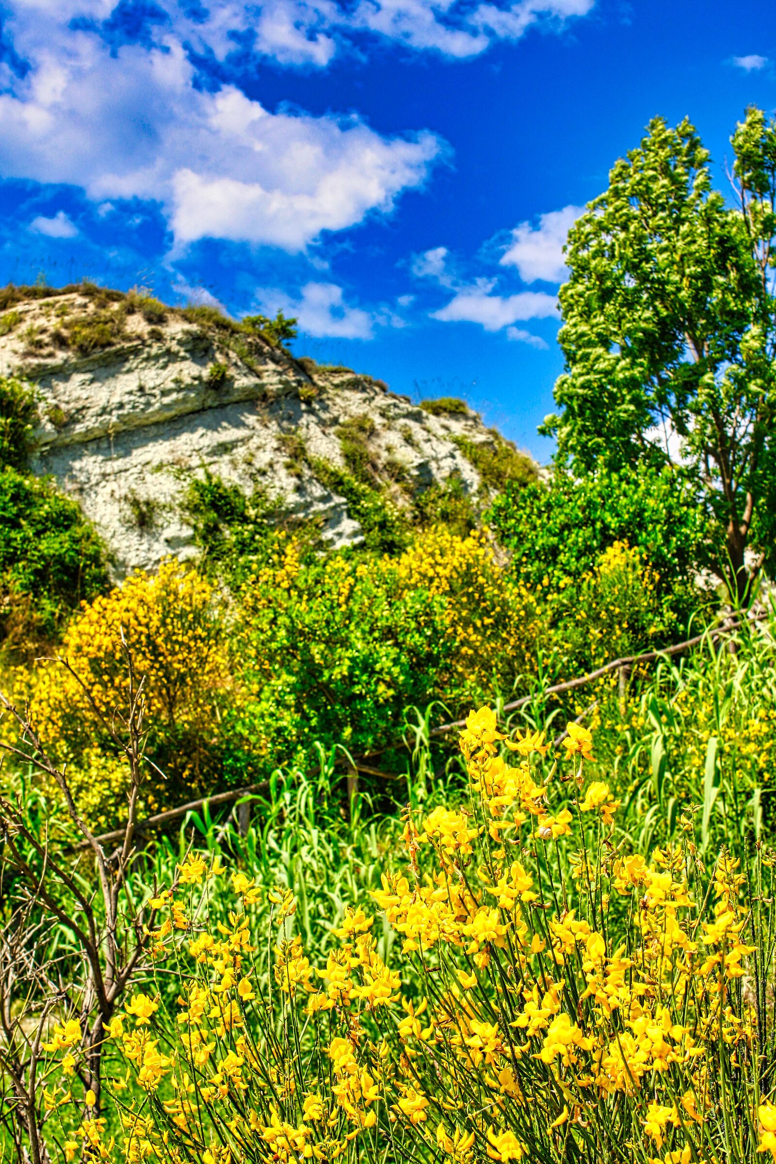 The gold of the mountain