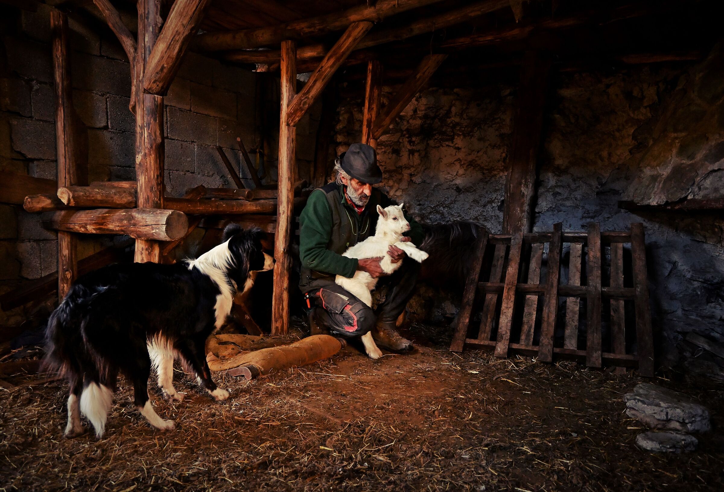 with Love and Passion