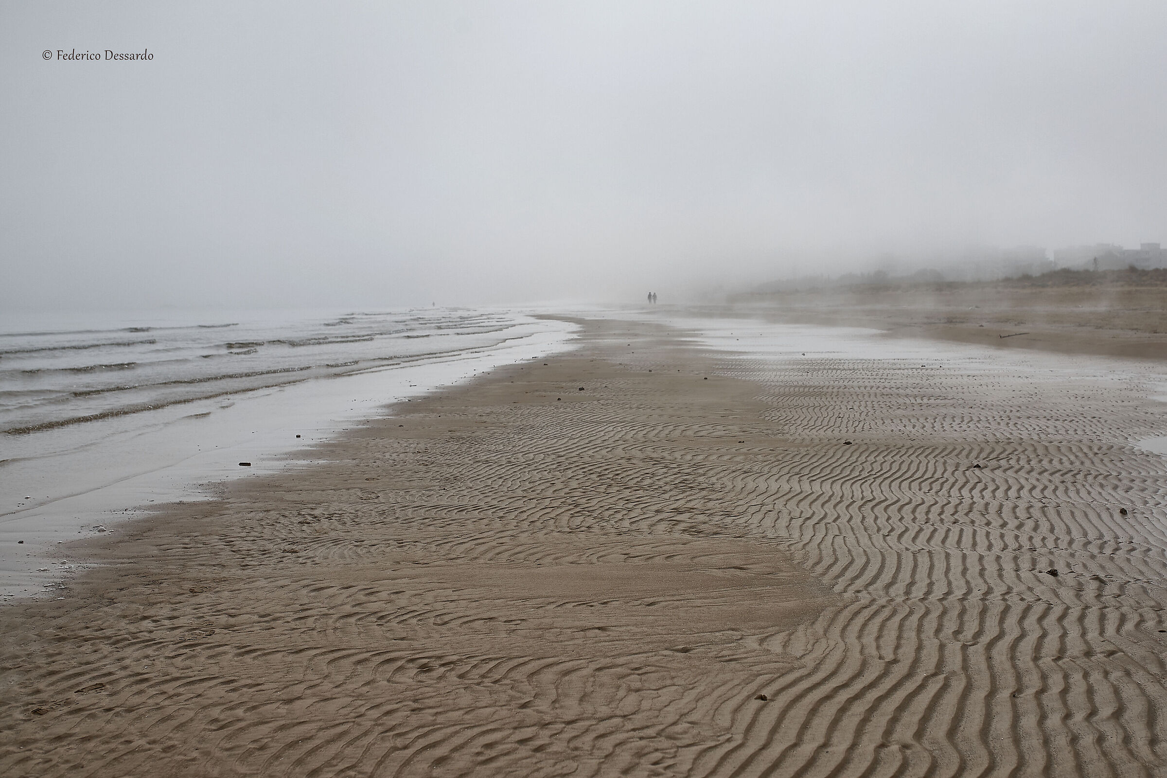 suggestioni nella nebbia