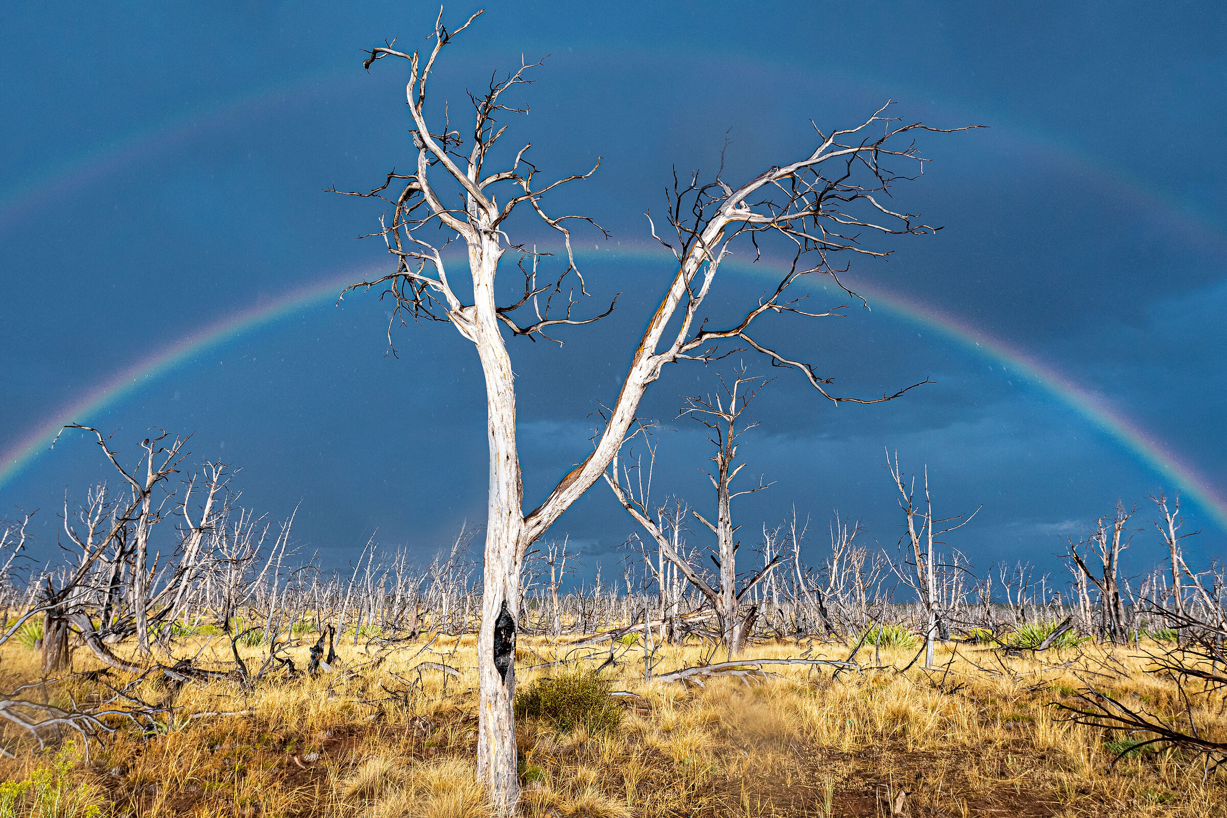 Rainbow after fire