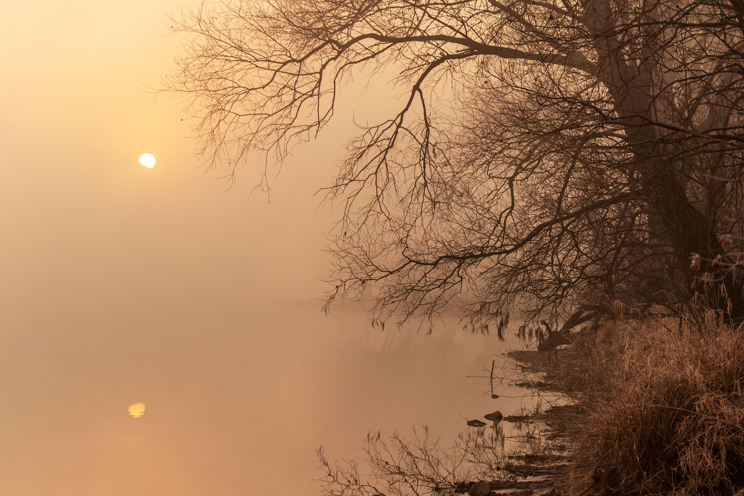 l'alba di un giorno nuovo
