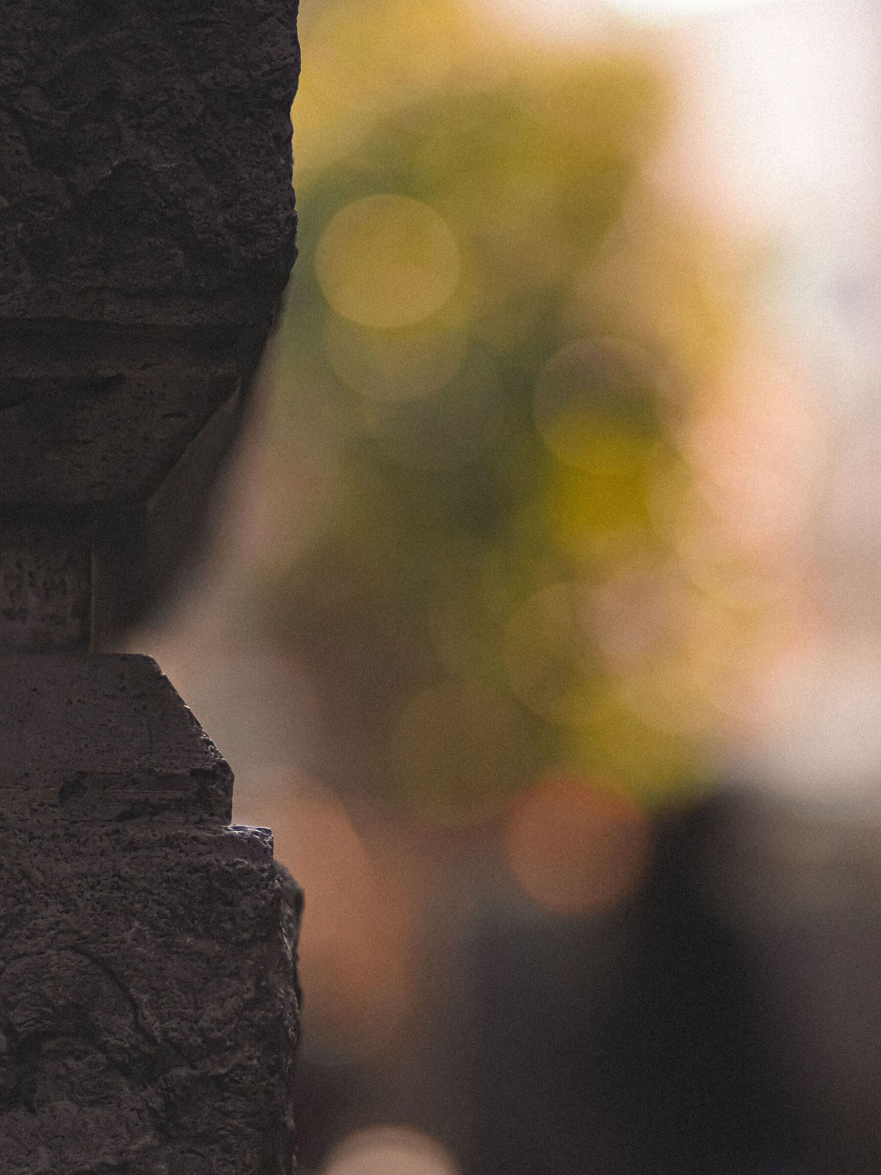 Bokeh
