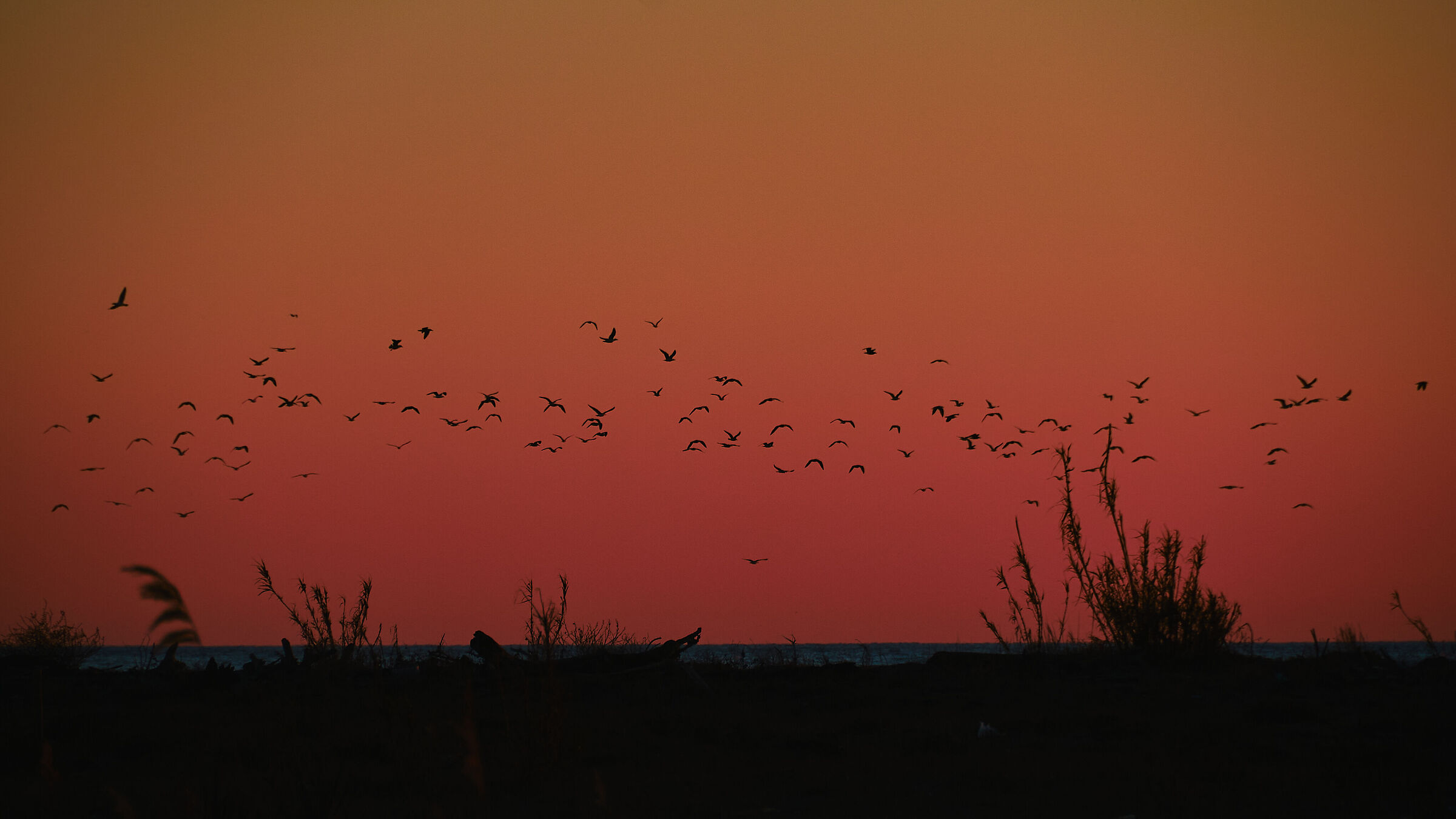 the sunset over the Mariconi