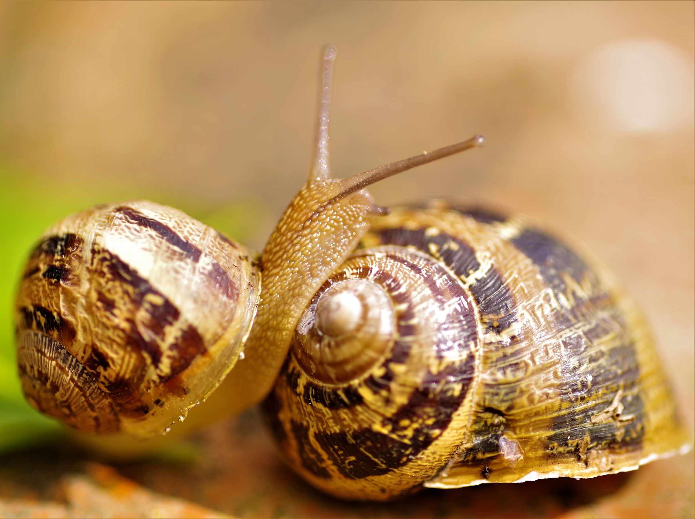 ... mom where are you ?!?