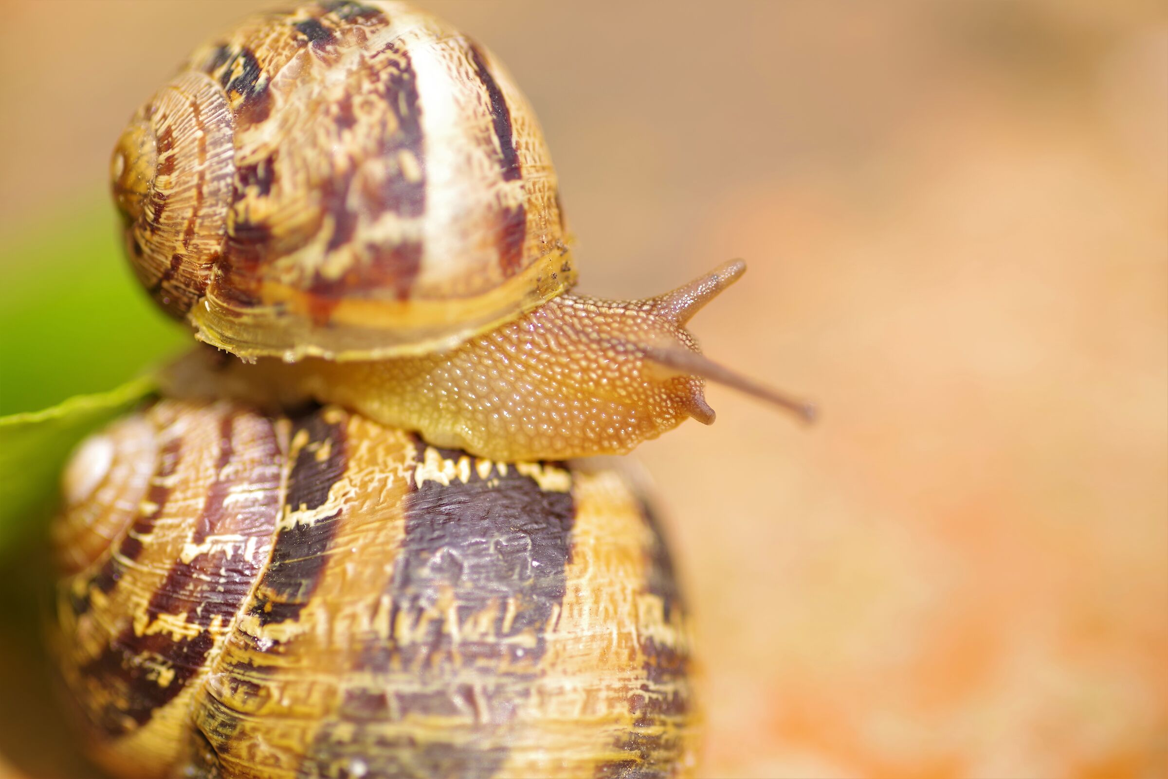 .... mom left home :(