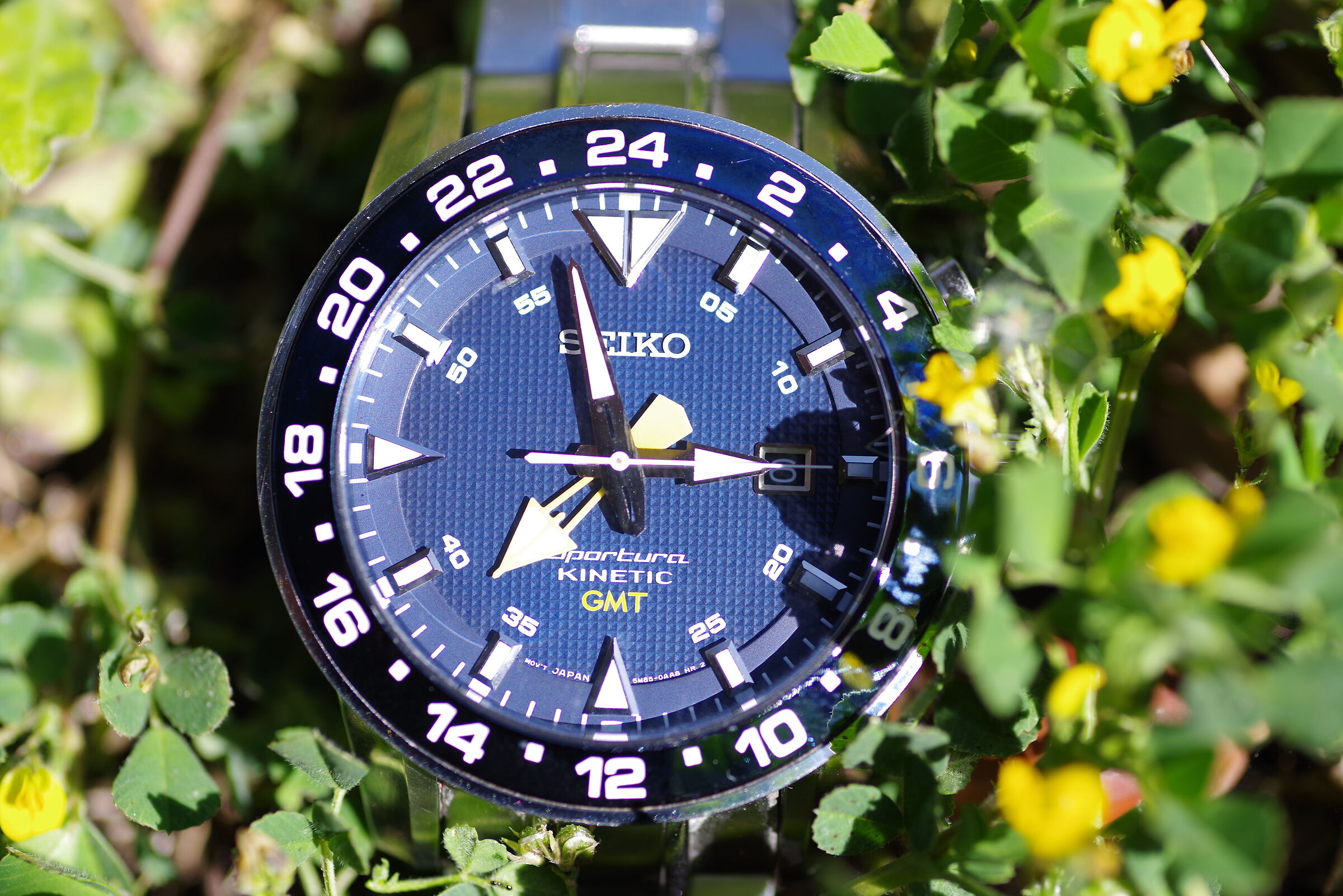 ...siamo in tempo per salvare la terra ?