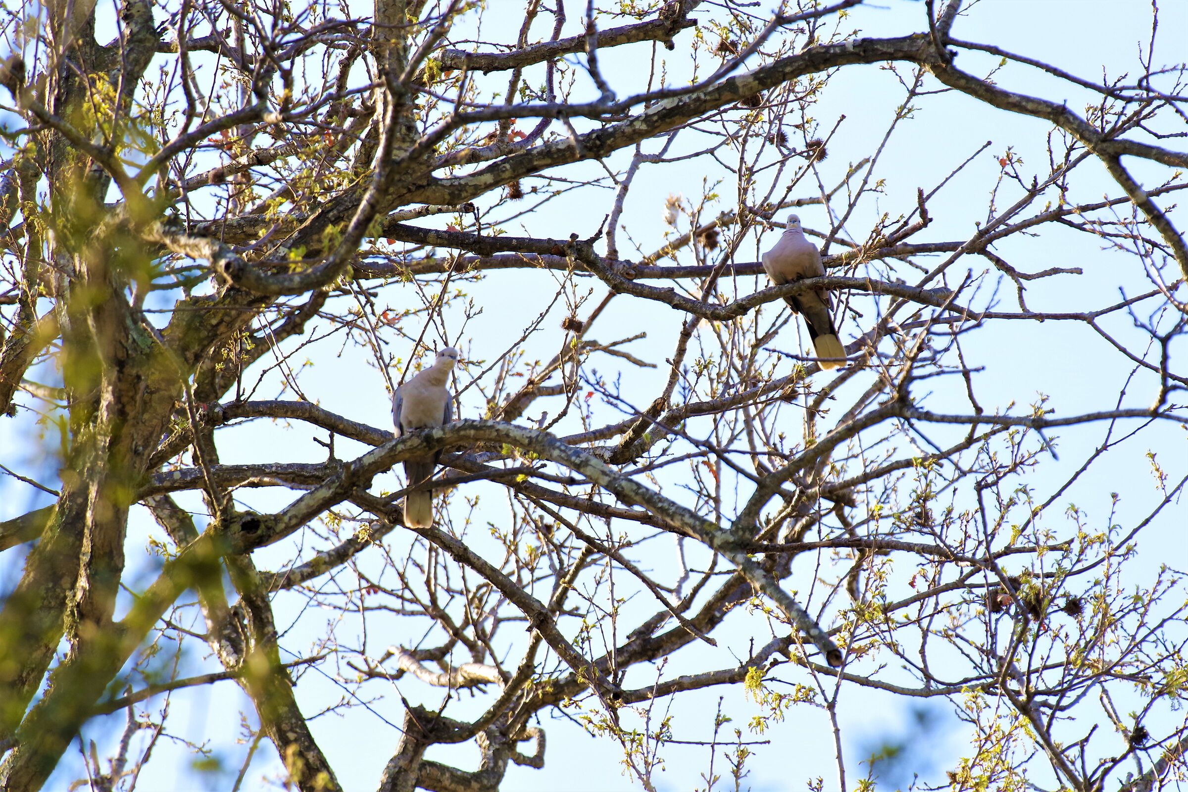 ..siamo la coppia più bella del mondo.