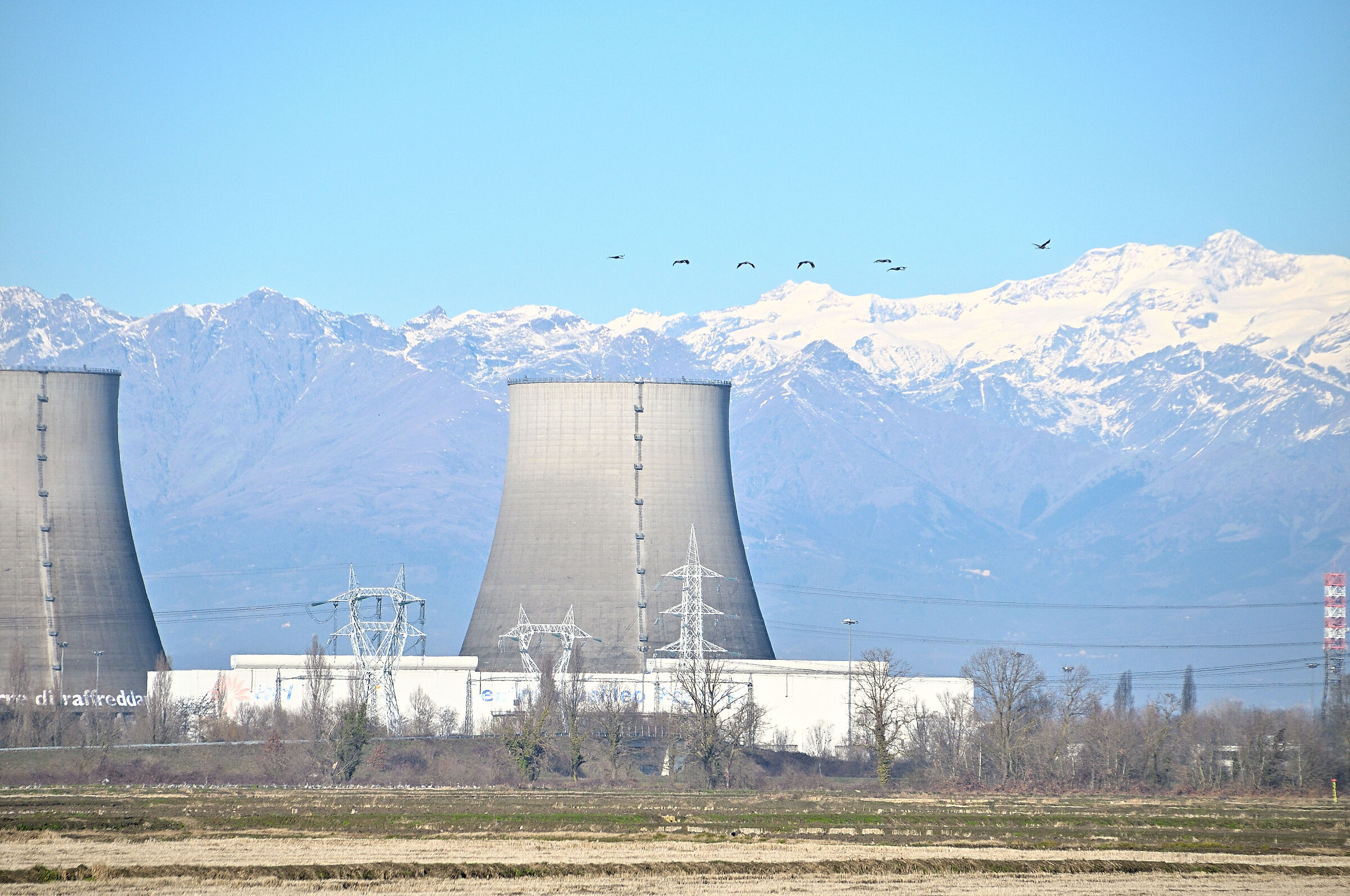 Risaie Vercellesi....