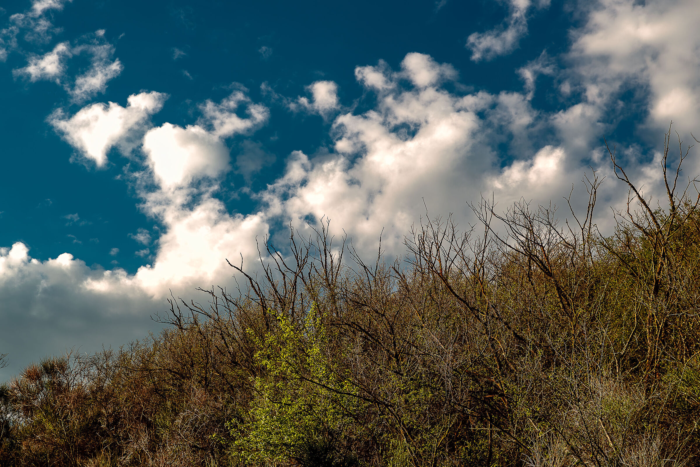 hills san casciano bagni