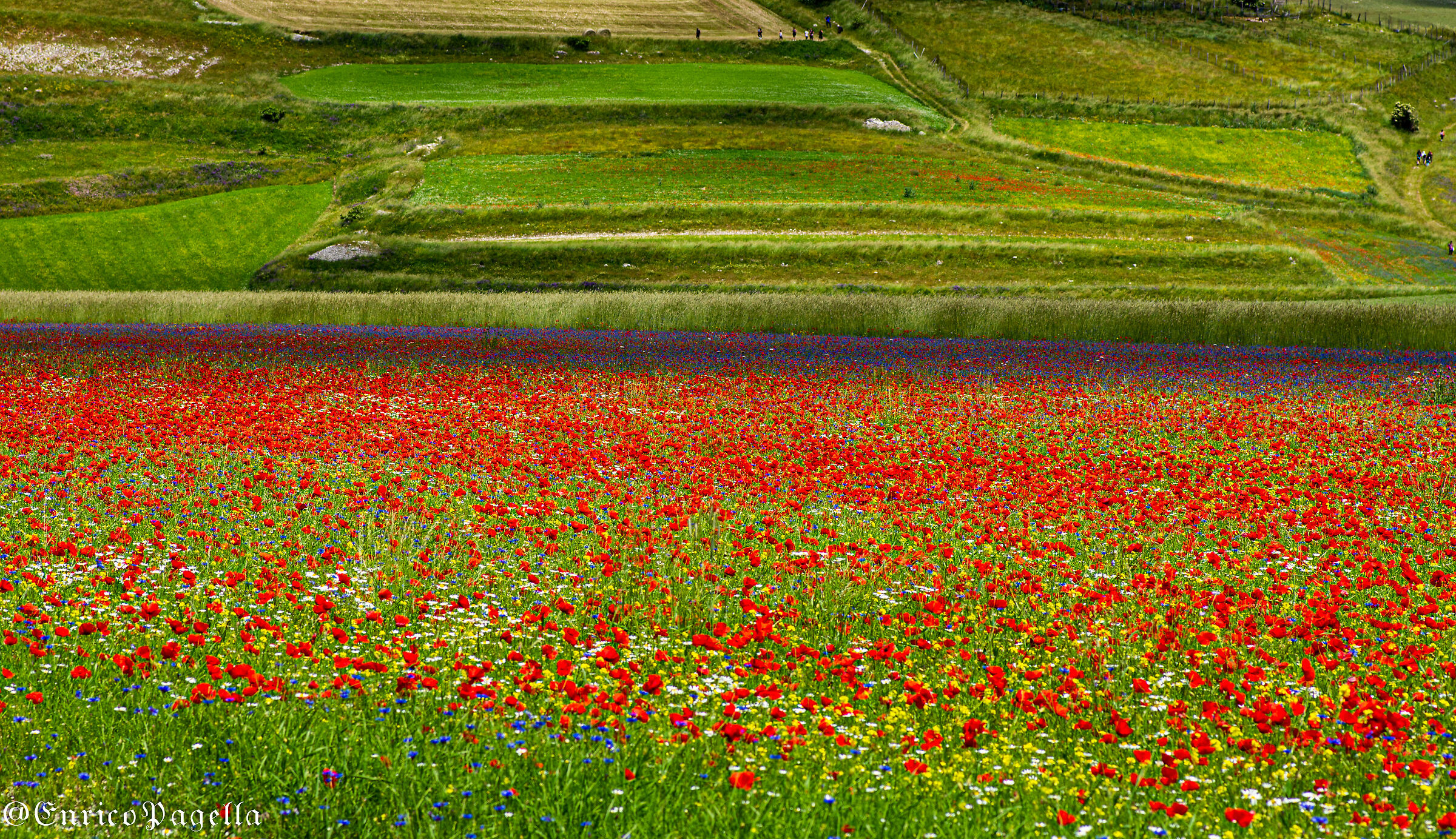 buona pasqua a tutti