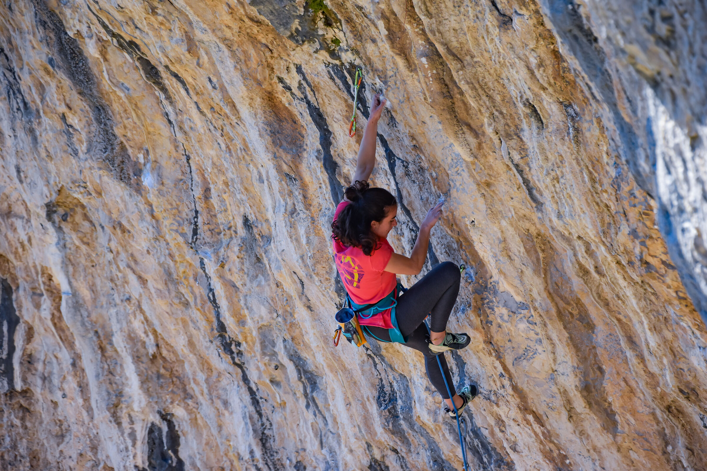 Sofia sul nuovo progetto