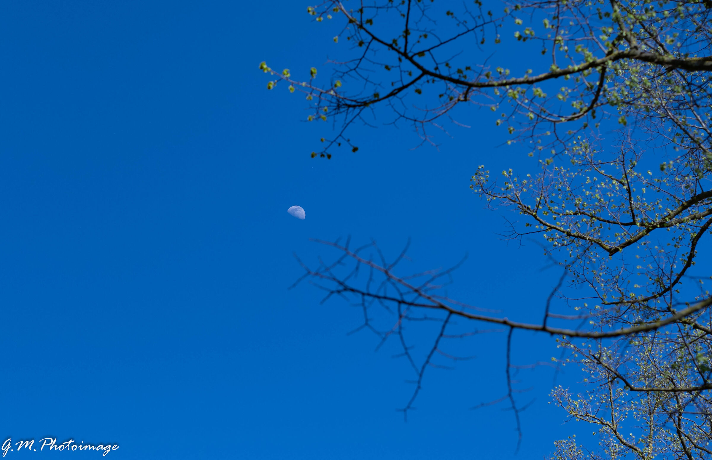 Moon peep