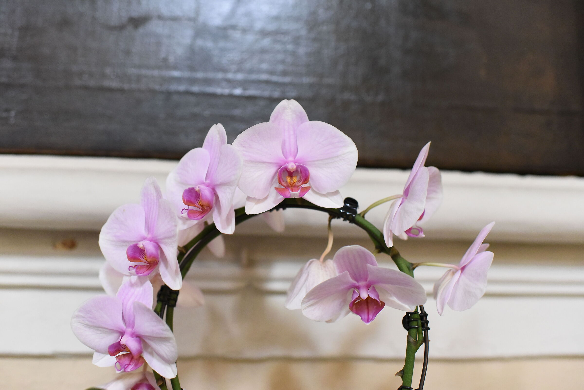 F. 2.8, ISO 8.000, 1/ 250 Nikon 28, 1.4 E ED