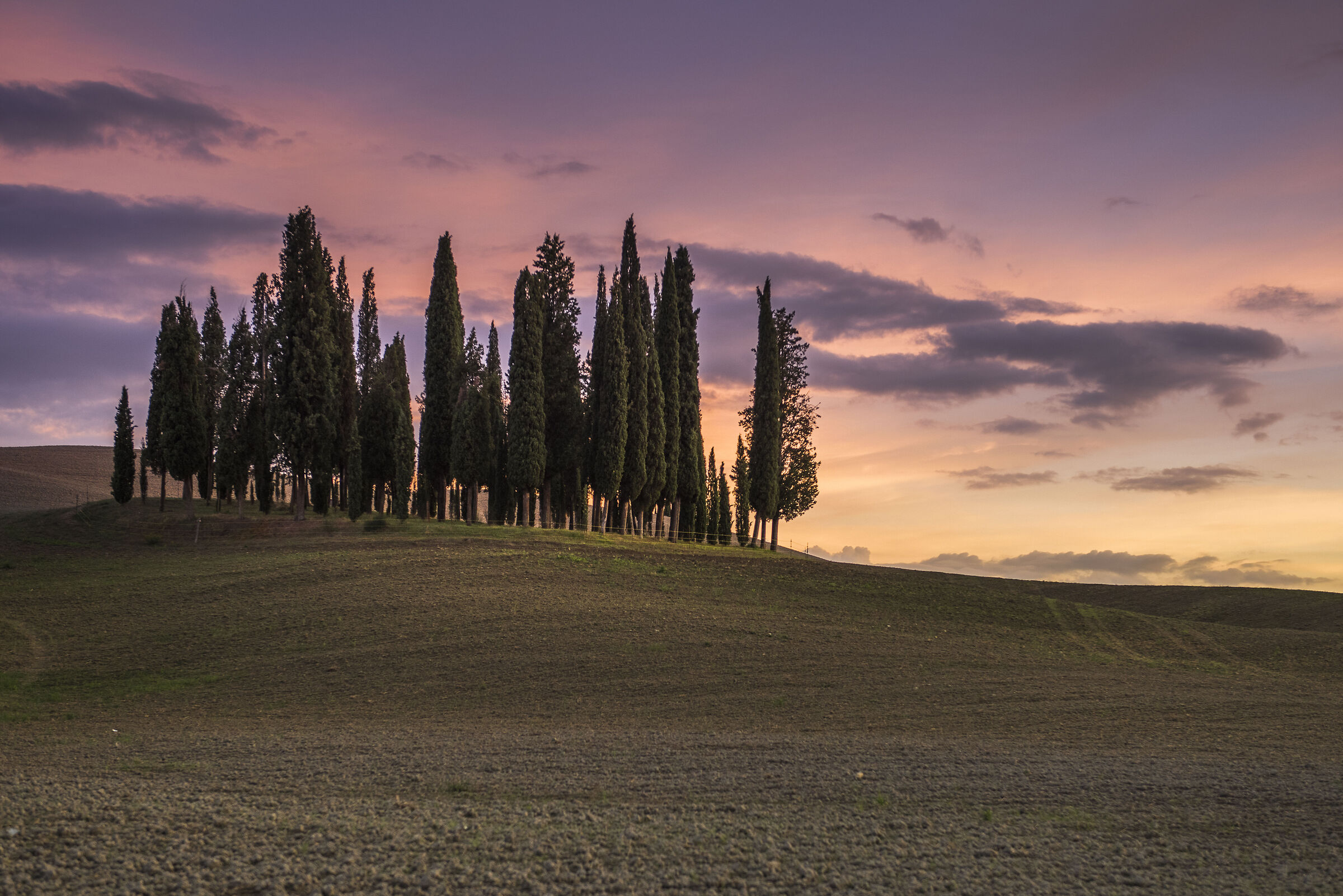 The Caccino of San Quirico