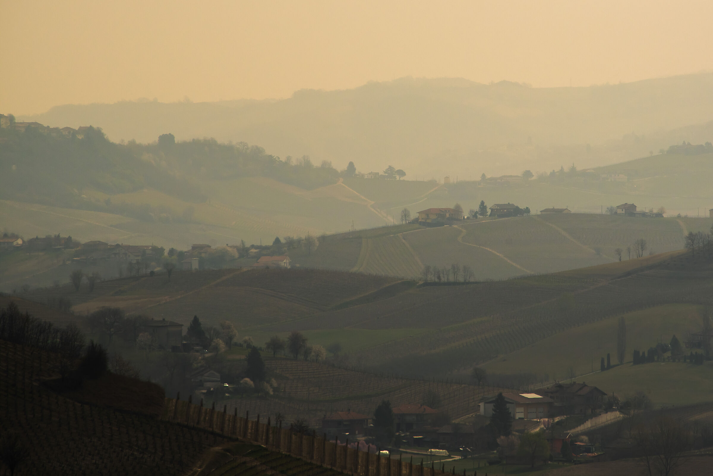 Monferrato 2