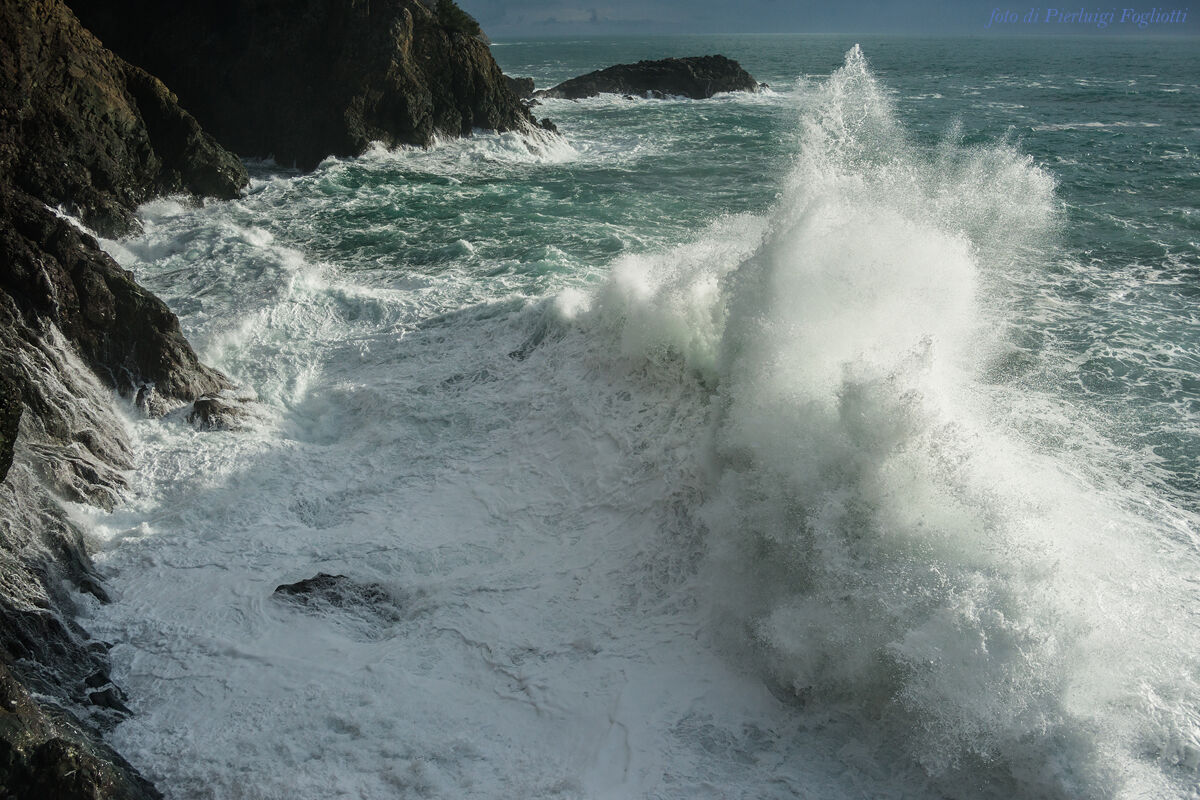 from the terrace of the waves