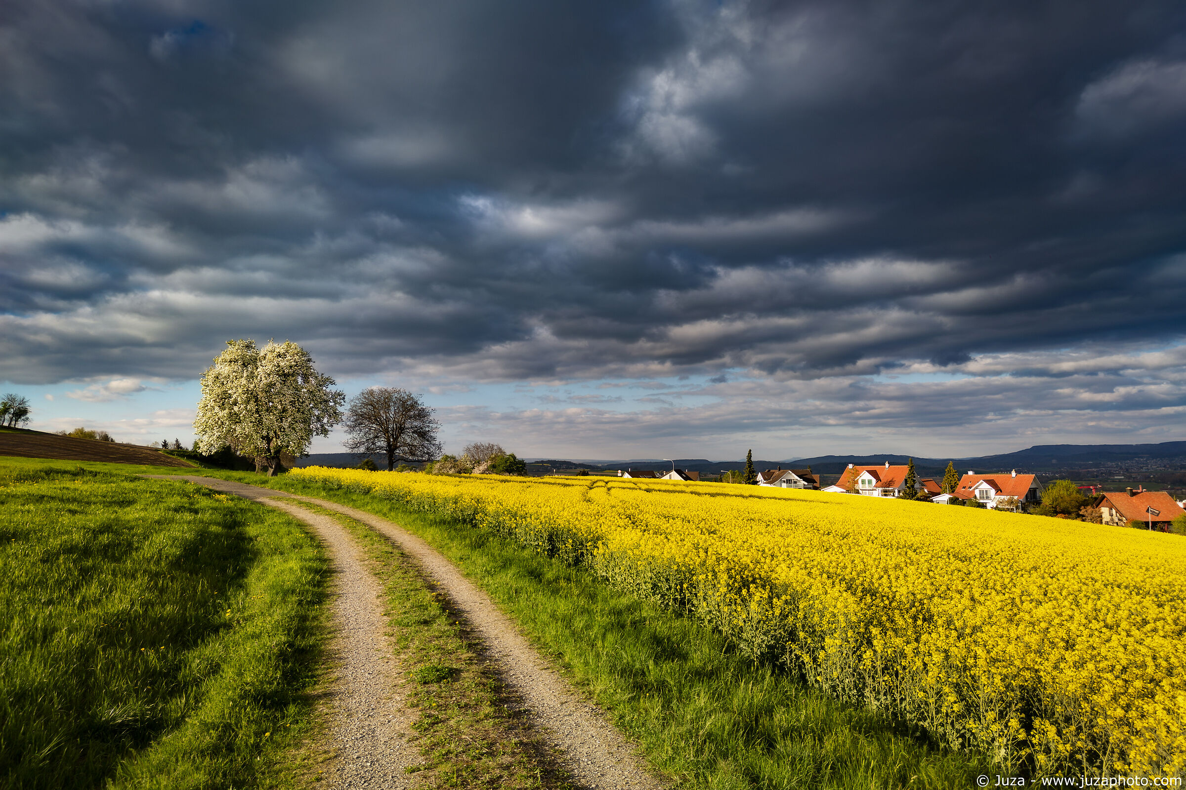 La primavera in Svizzera