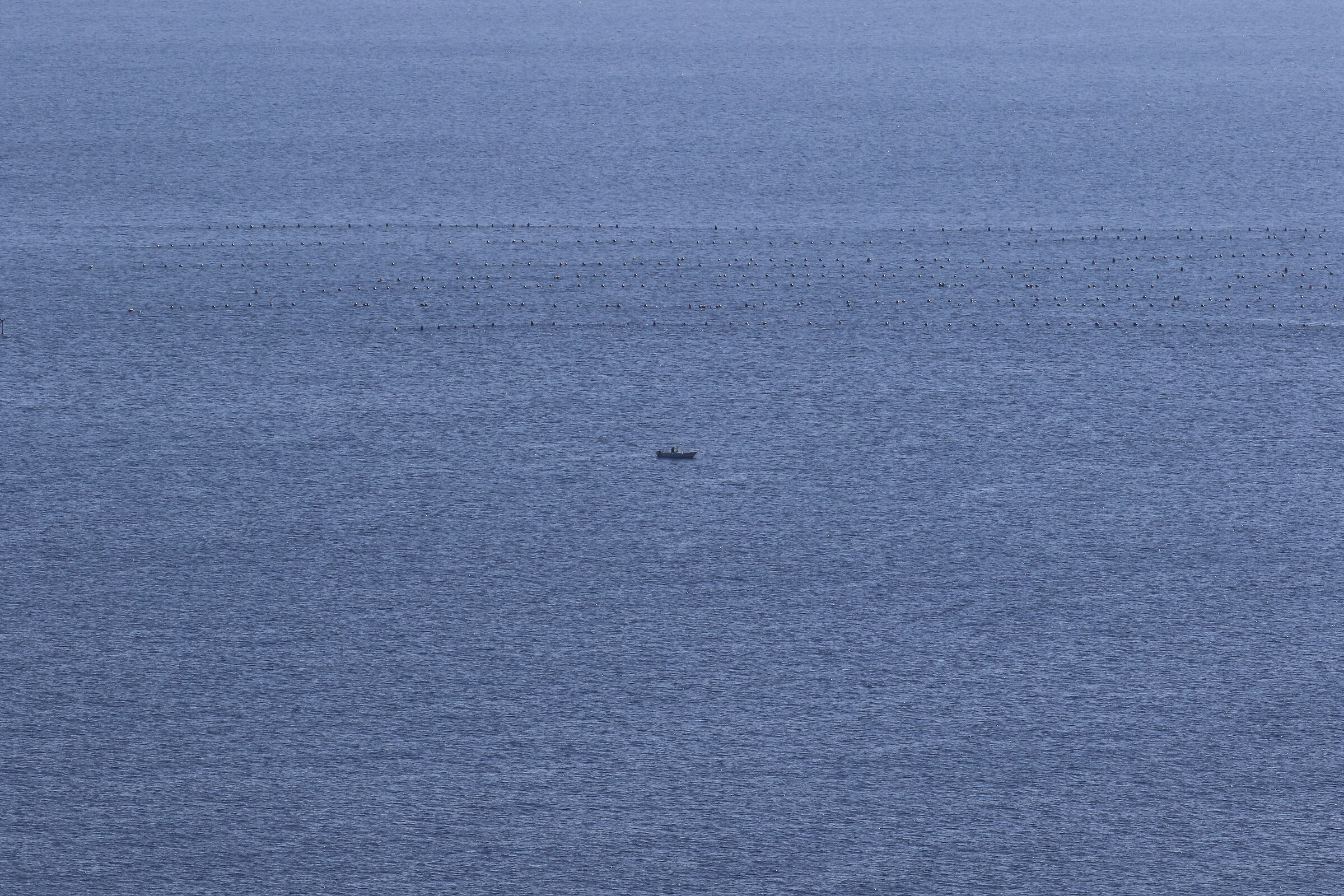 A 200= Crop 320 / 7D II- 200 2.8 L II USM