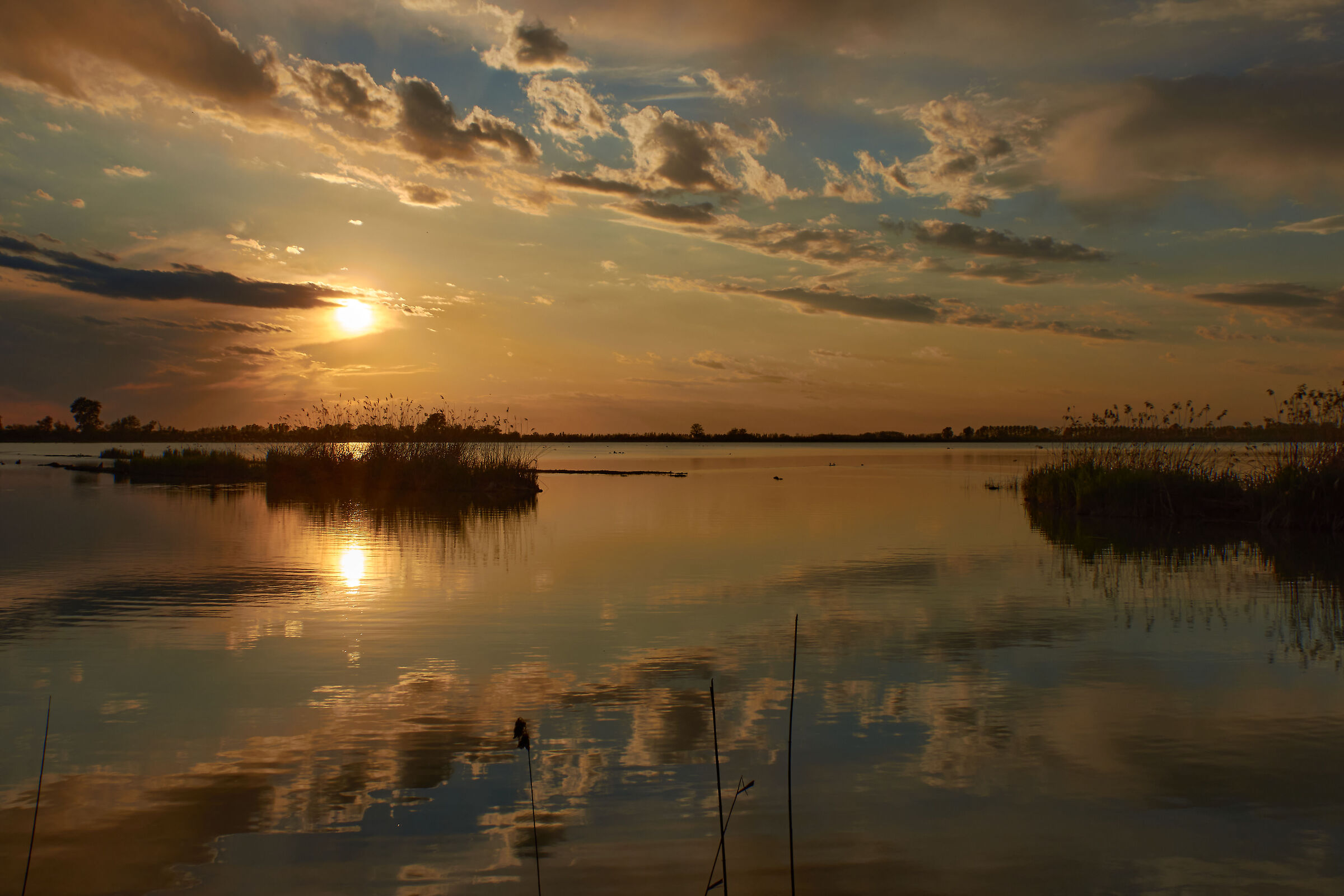 Sunsets of Argenta 1