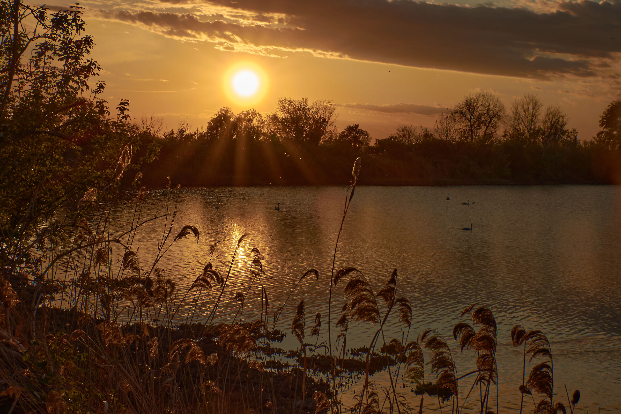 Sunsets of Argenta 3