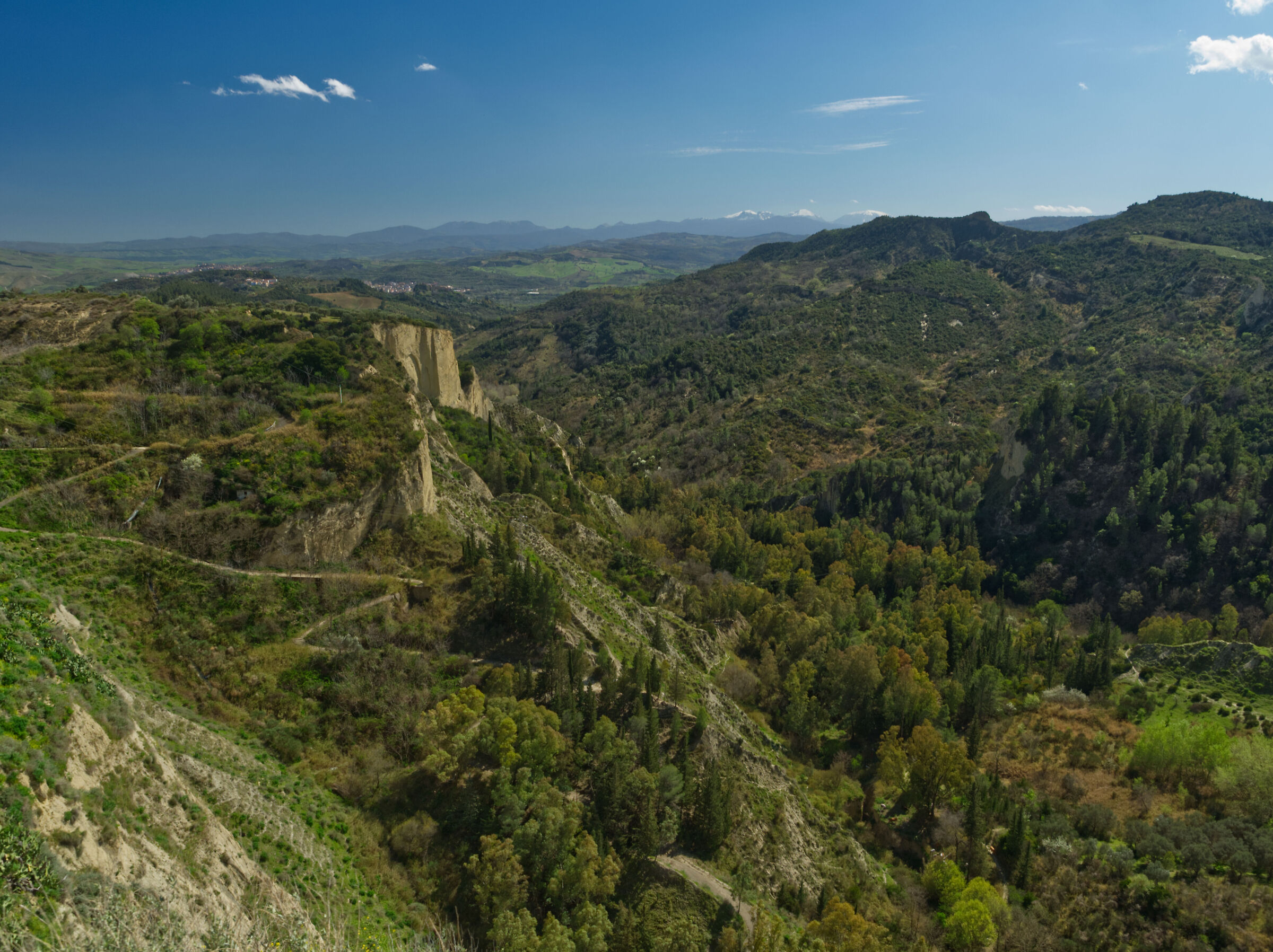 Davanti agli occhi di Carlo Levi