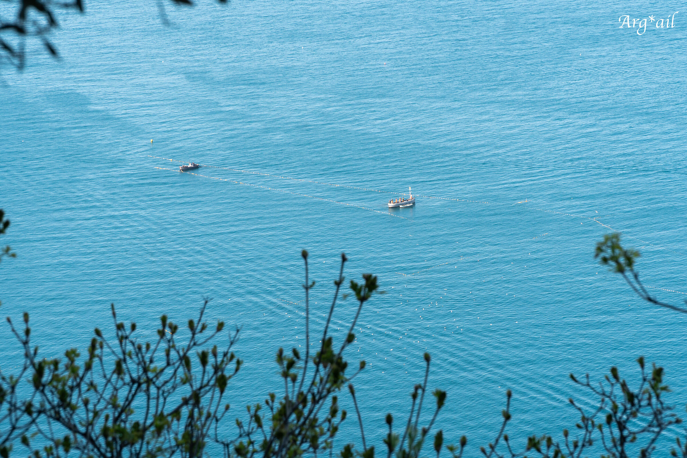 Tonnarella of Camogli