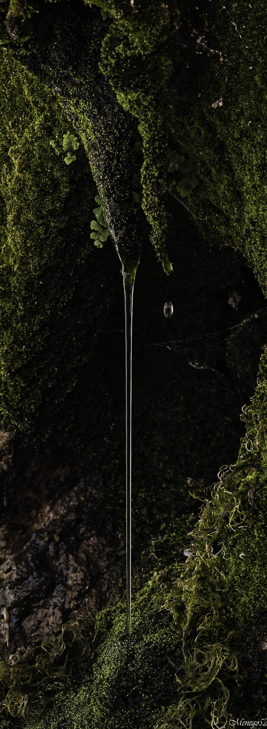 drop to drop..o not?