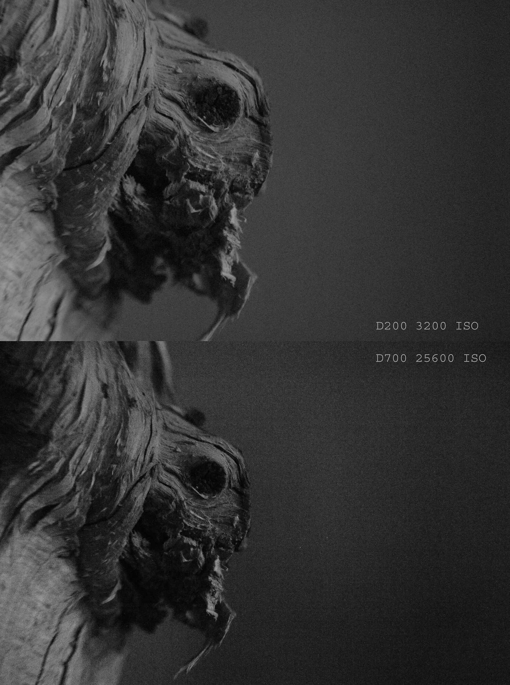 grain d200 vs d700 high iso