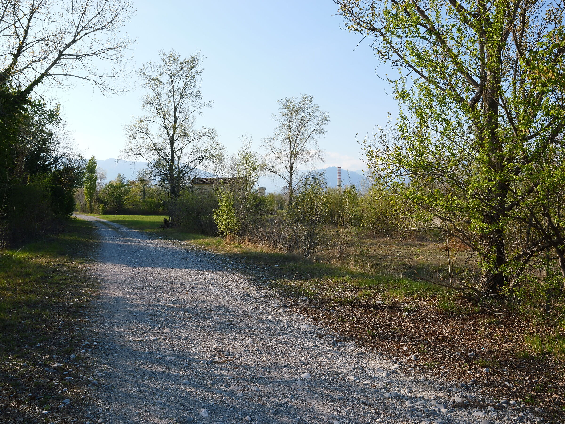 San Leonardo del Friuli - la campagna