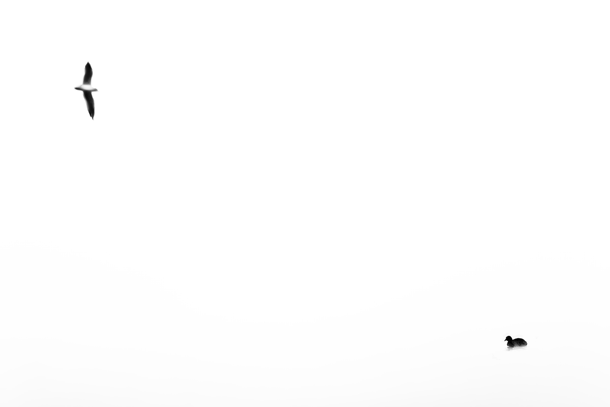 Uno e poco tre una folla