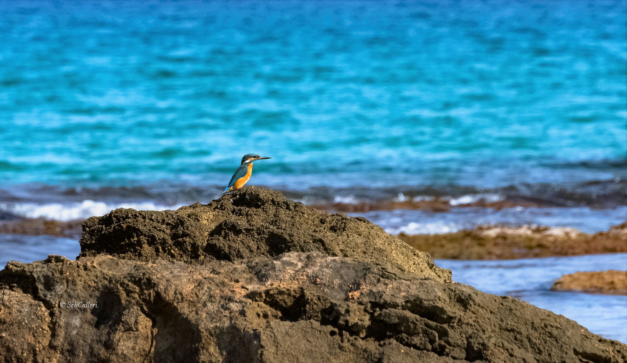 Nuova casa... per il riposo del grande pescatore.