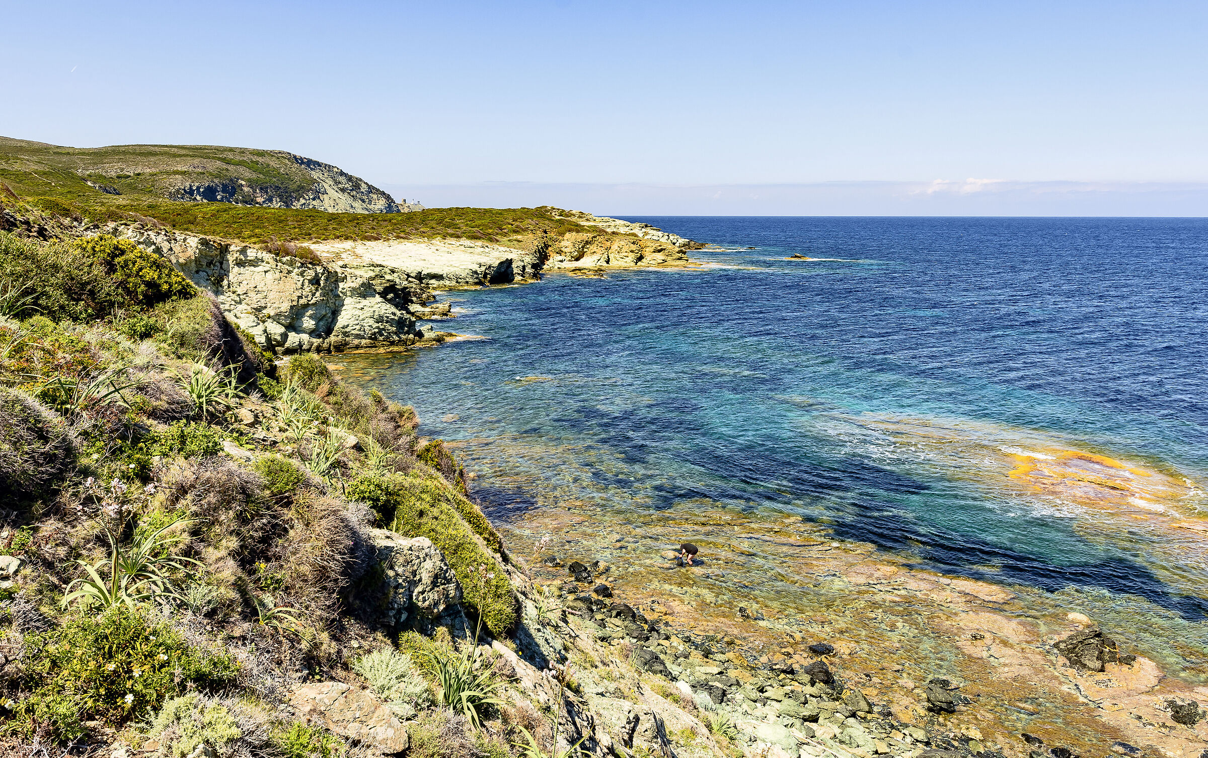 Pescatore di ricci in paradiso