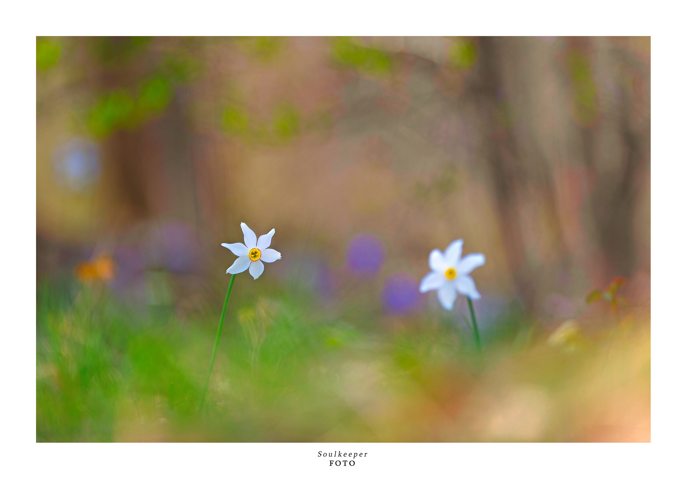 Mirror yourself in the other.