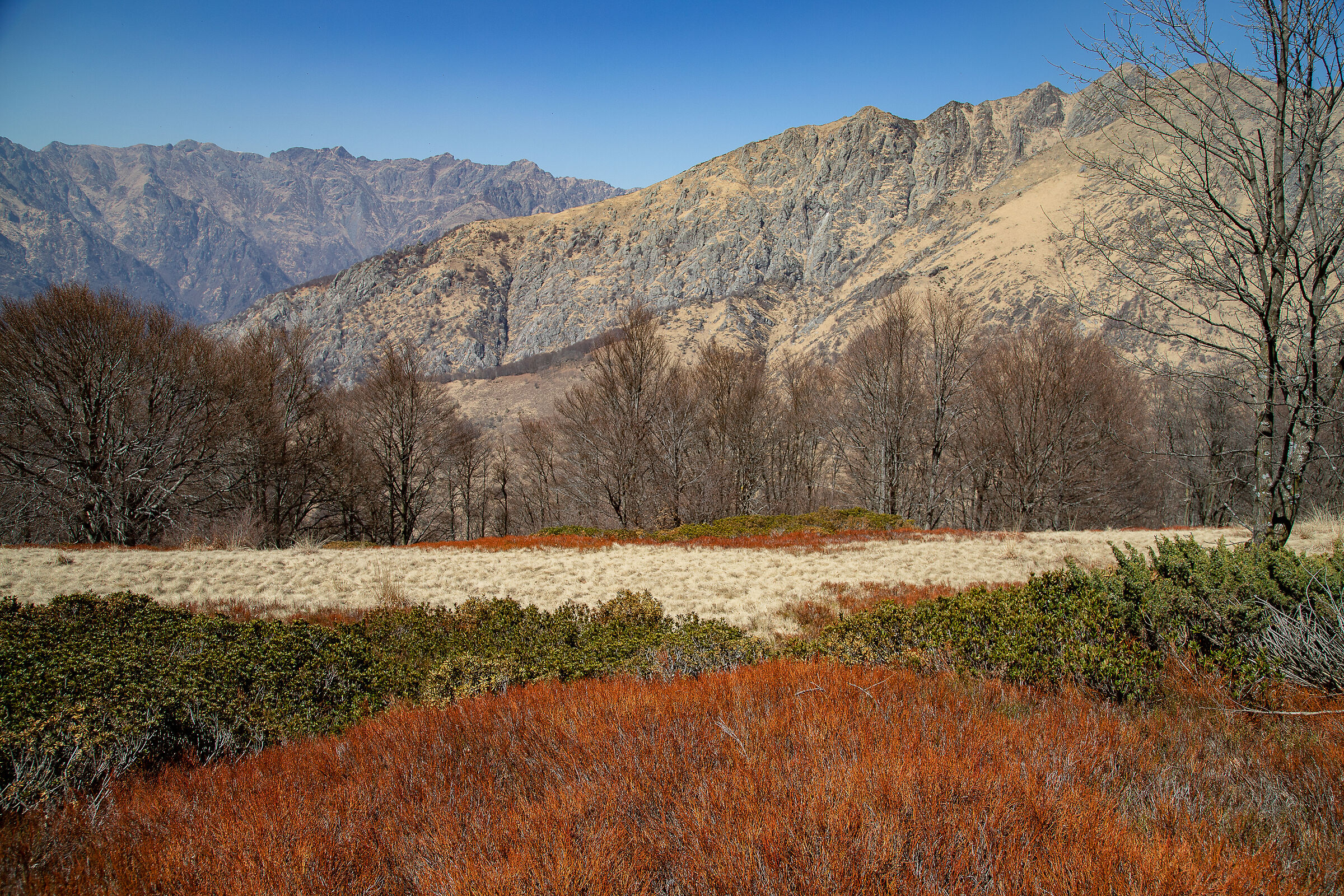 I colori della natura (primavera 2022)