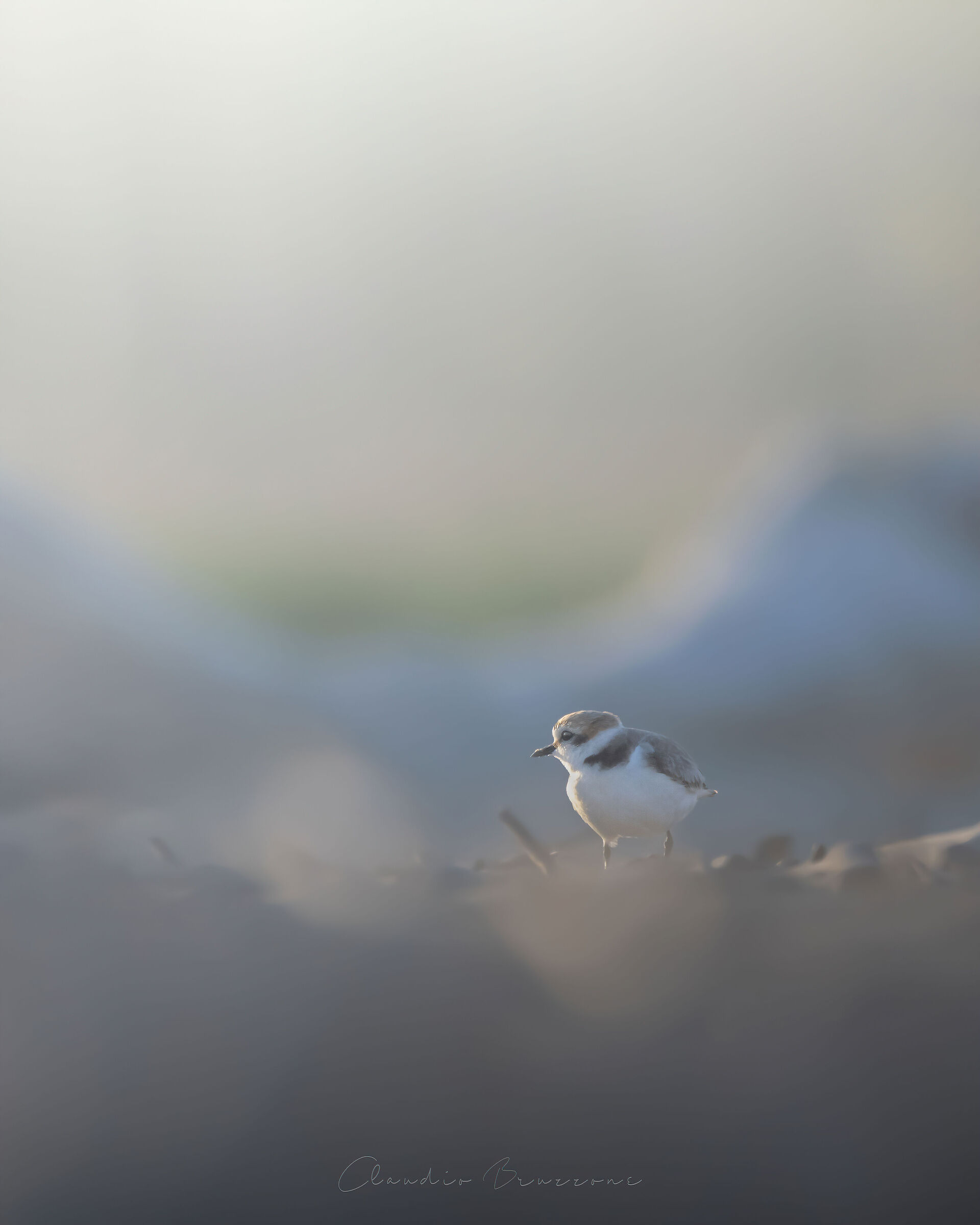 Sunrise on the beach