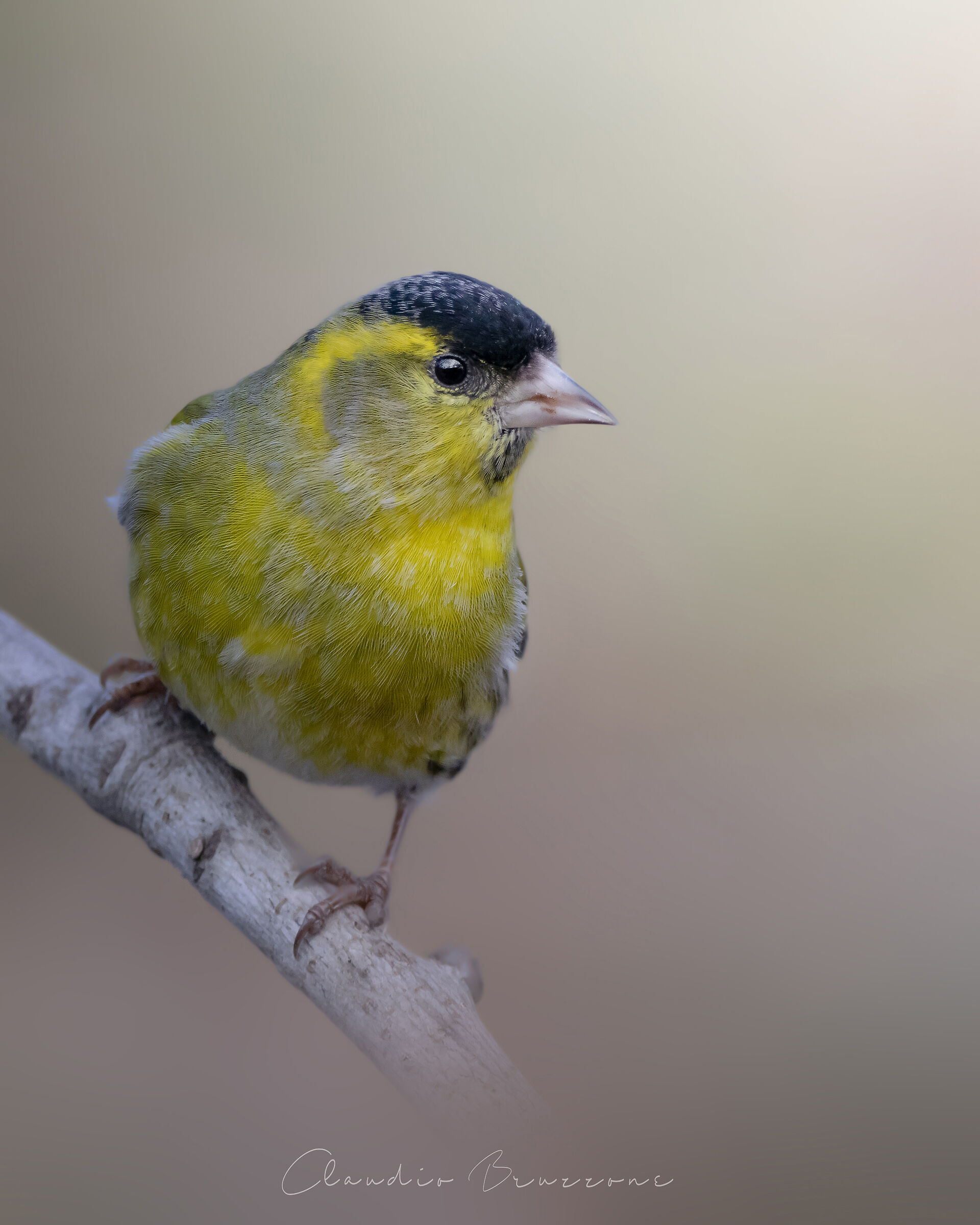 Let's check who's there...