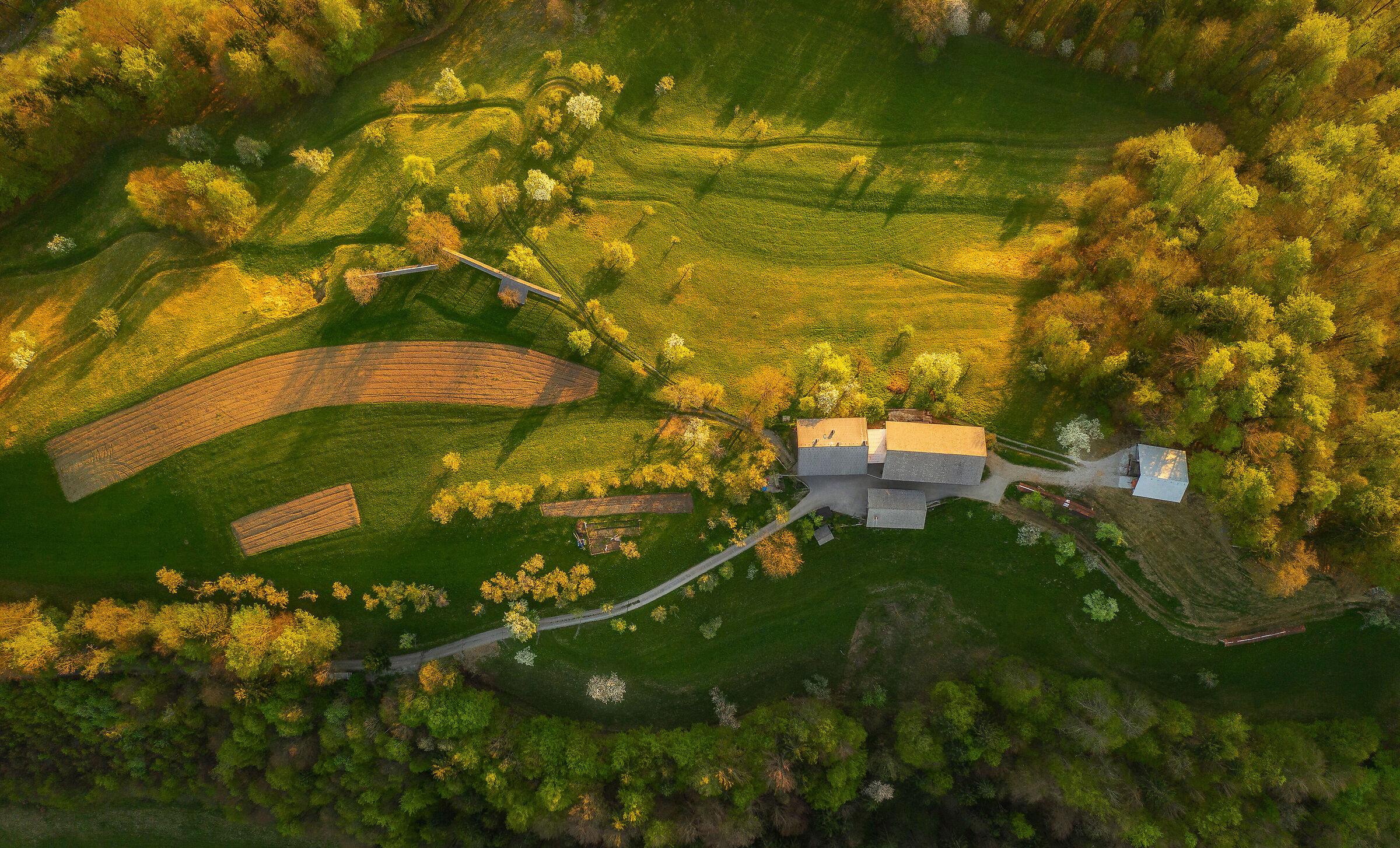 Primavera in campagna