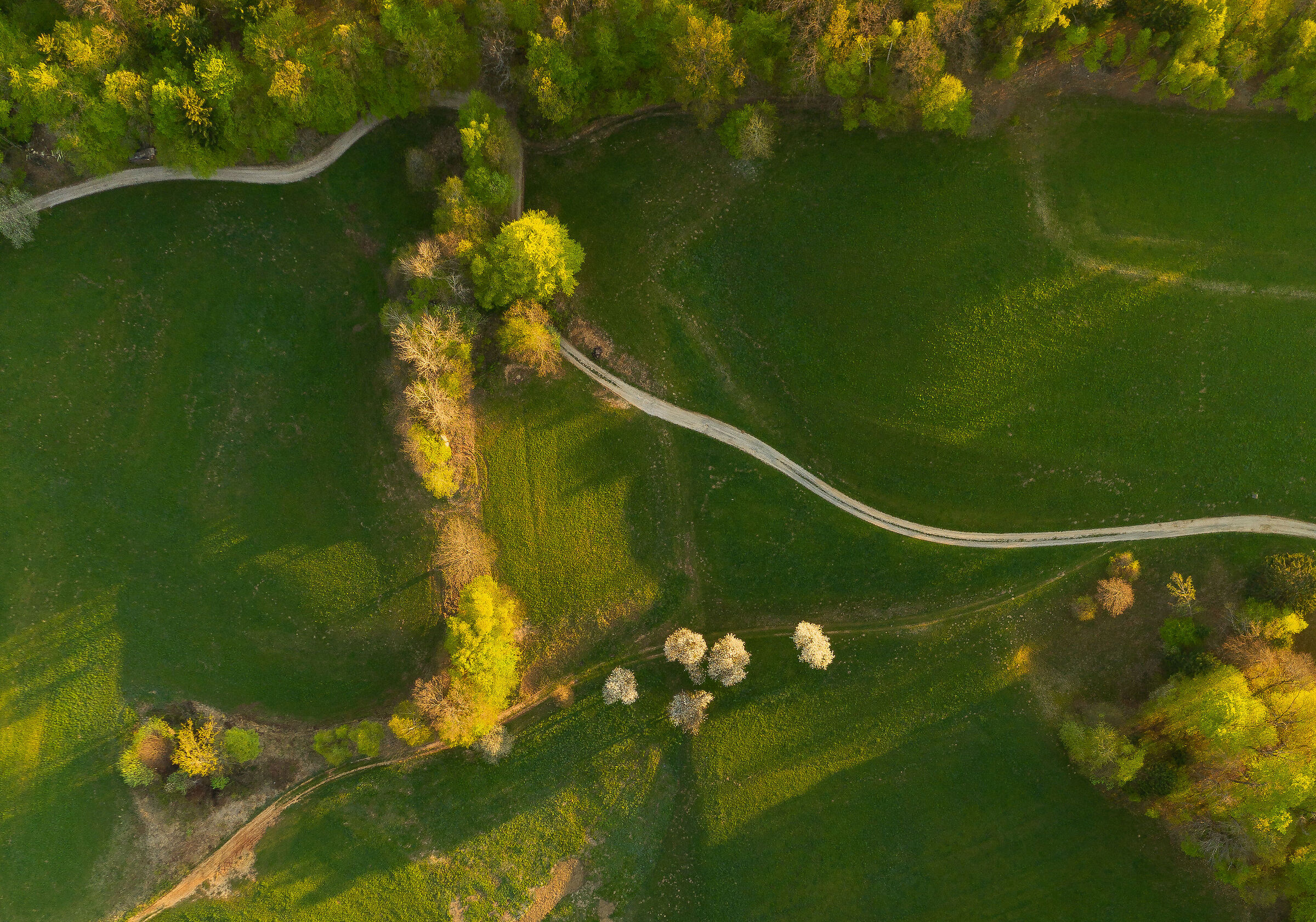 Primavera in campagna