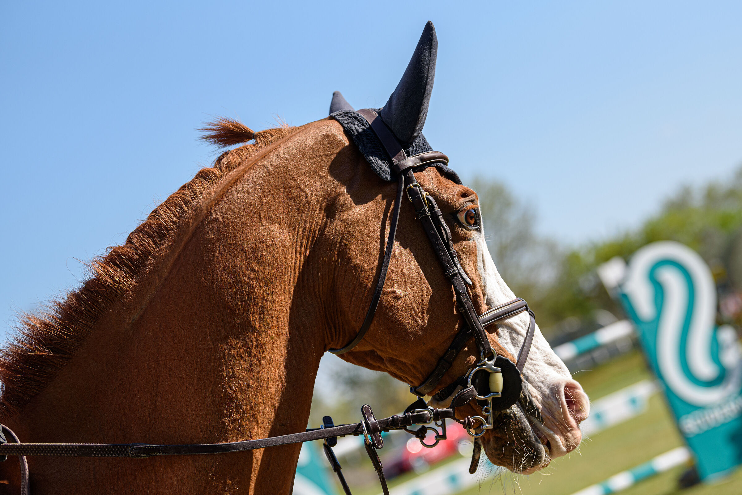 Equestrian Centre Arezzo