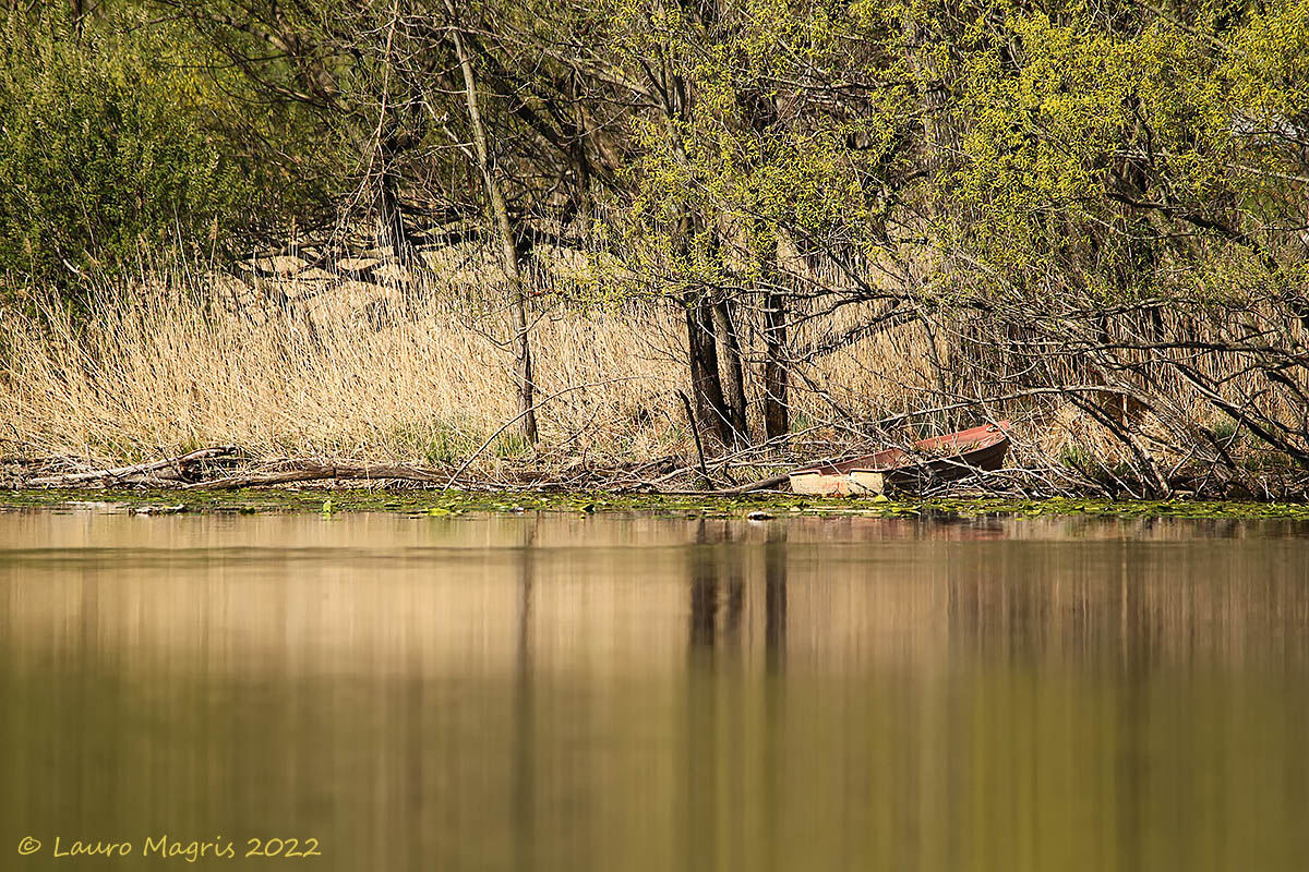 Moored