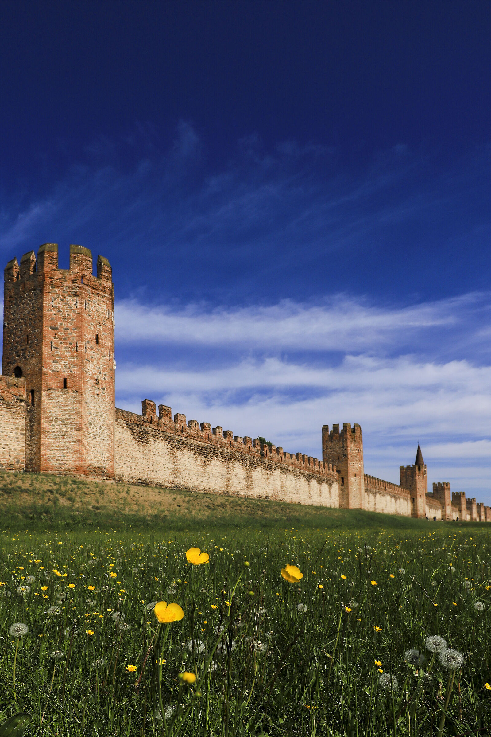 Montagnana (Italy)