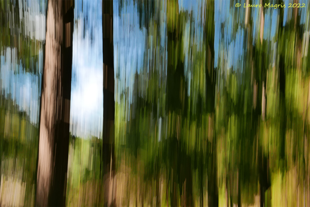 Take-off in the green