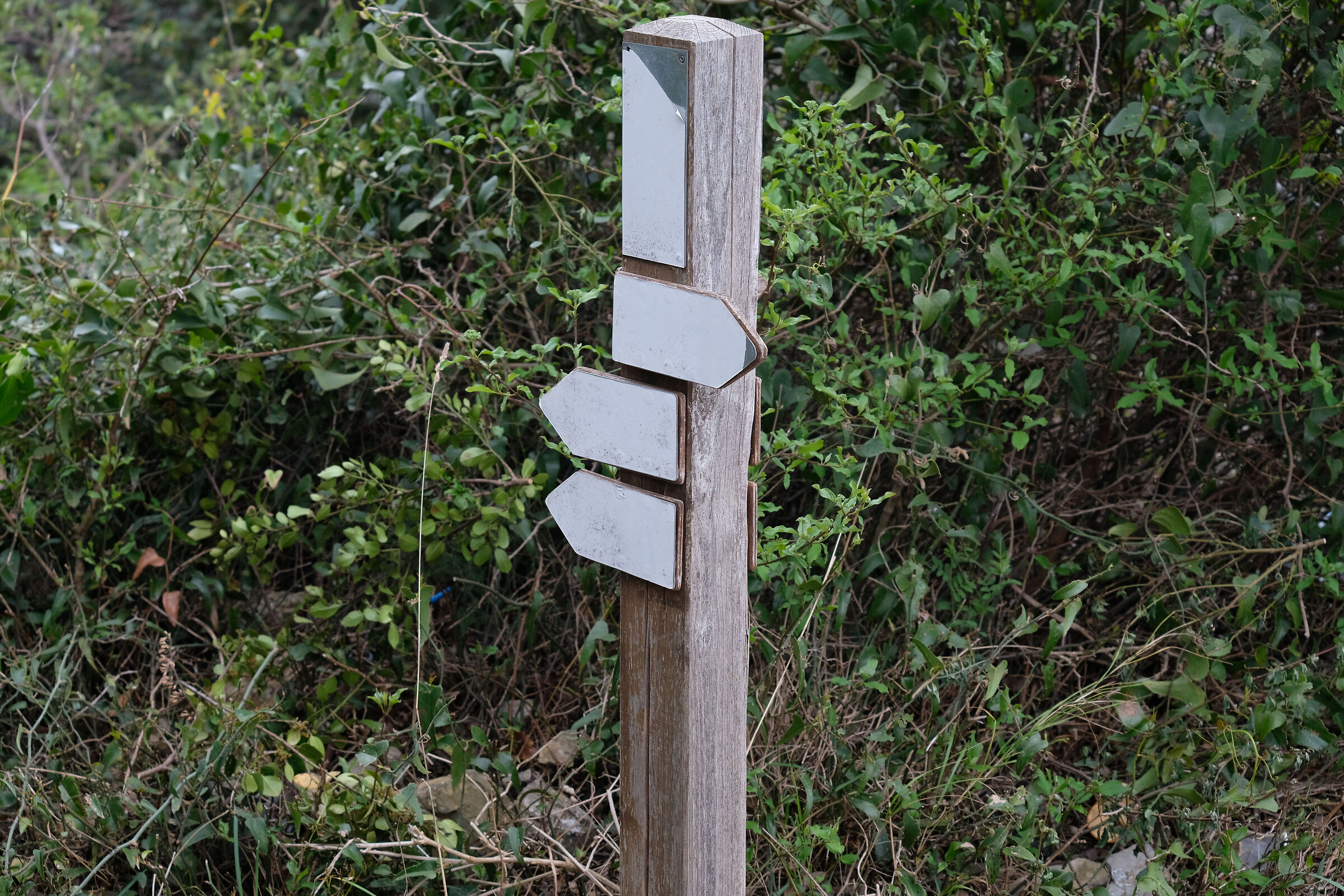 Per andare dove vogliamo andare.....