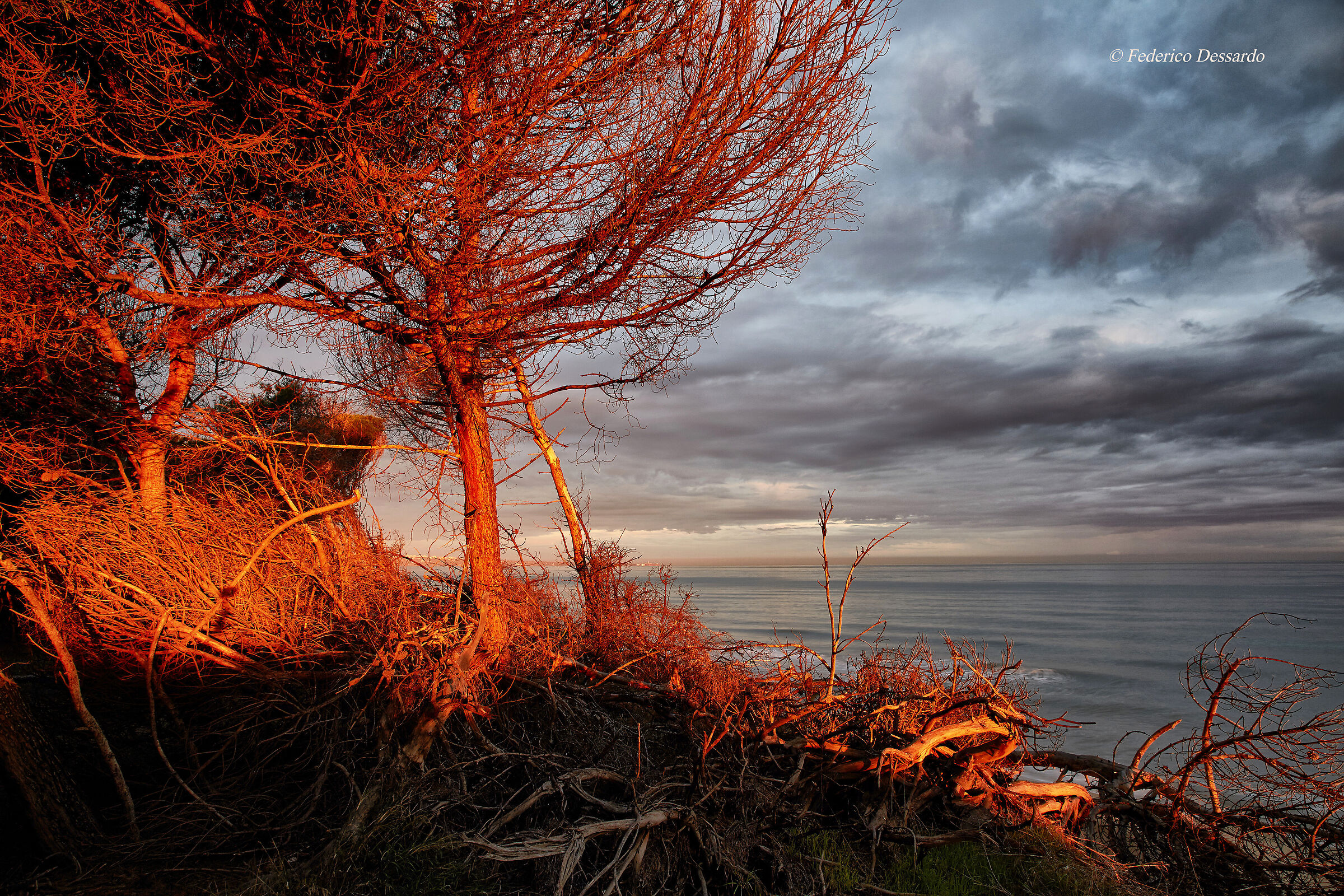 L'alba lungo la costa Adriatica
