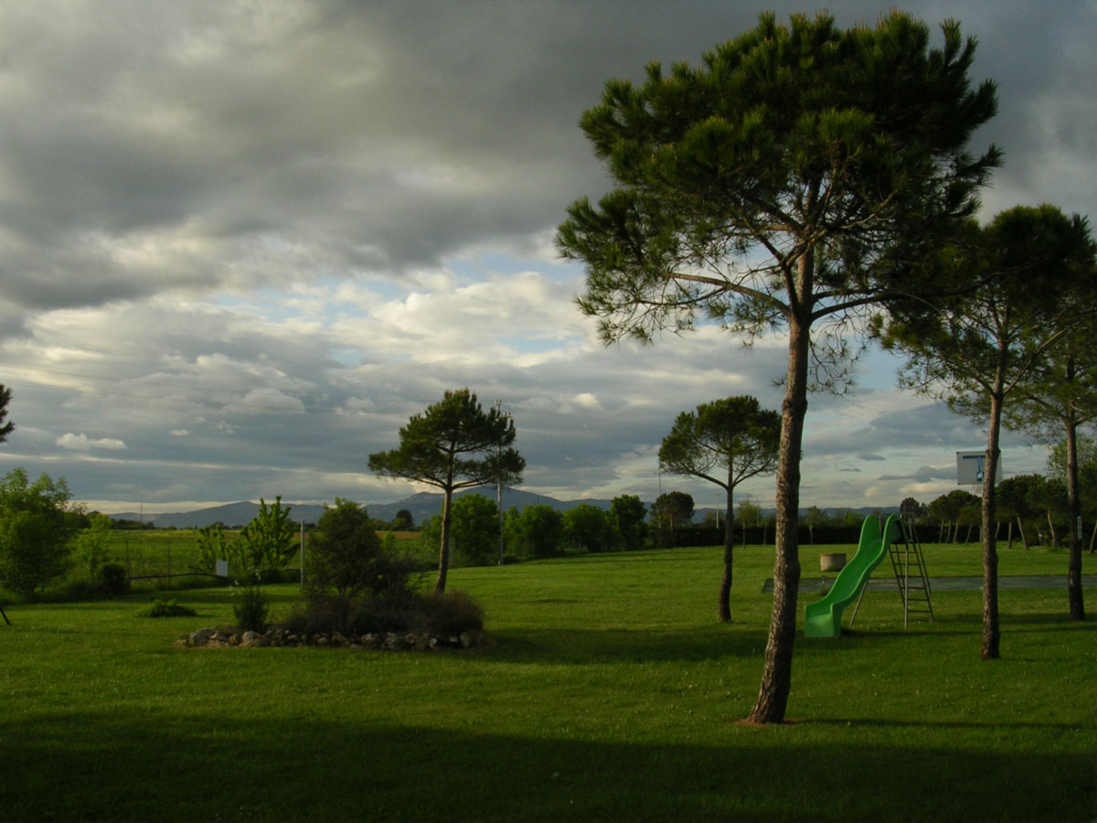 The greenery of the Tuscan countryside