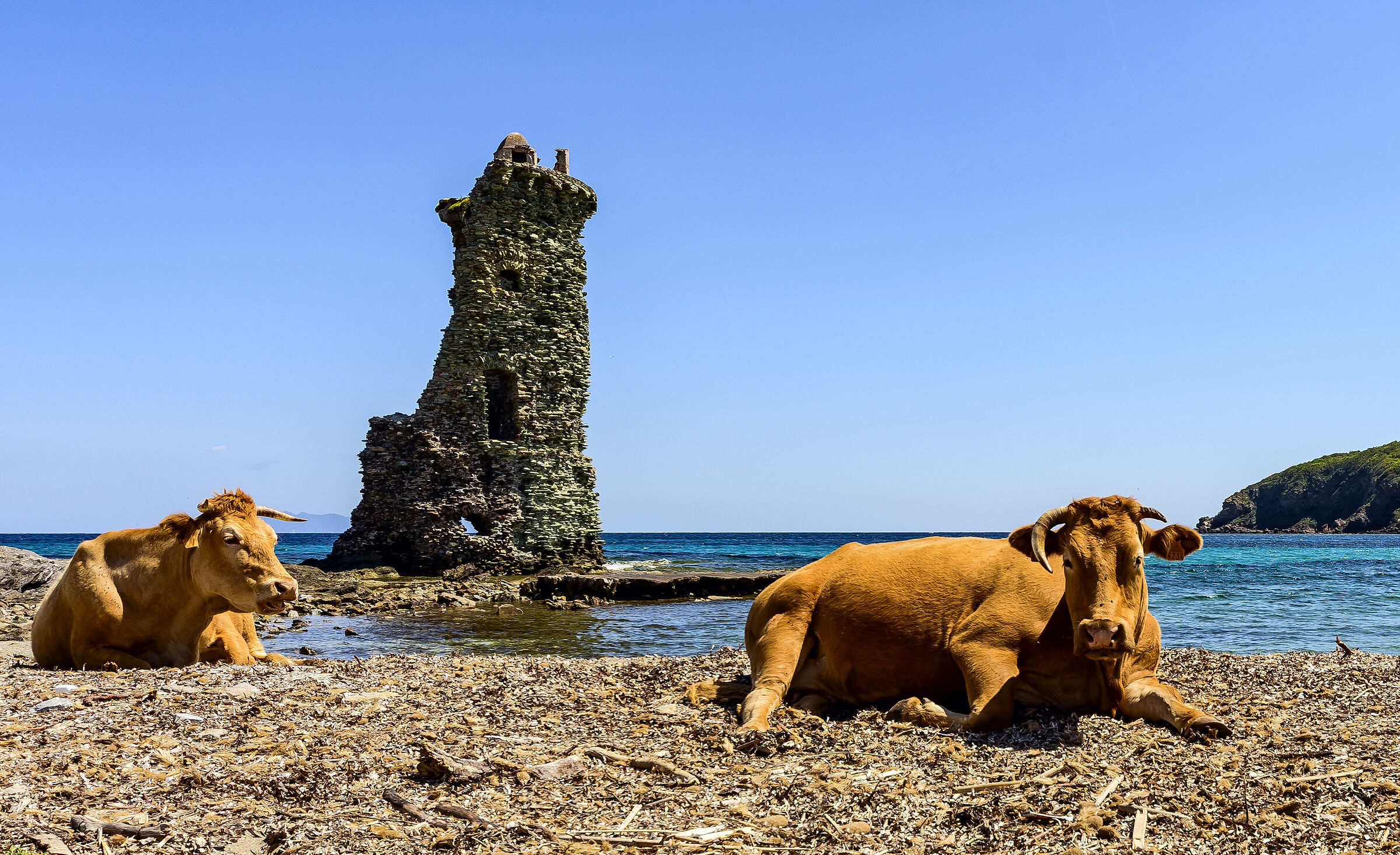 Siesta alla torre di S.Maria