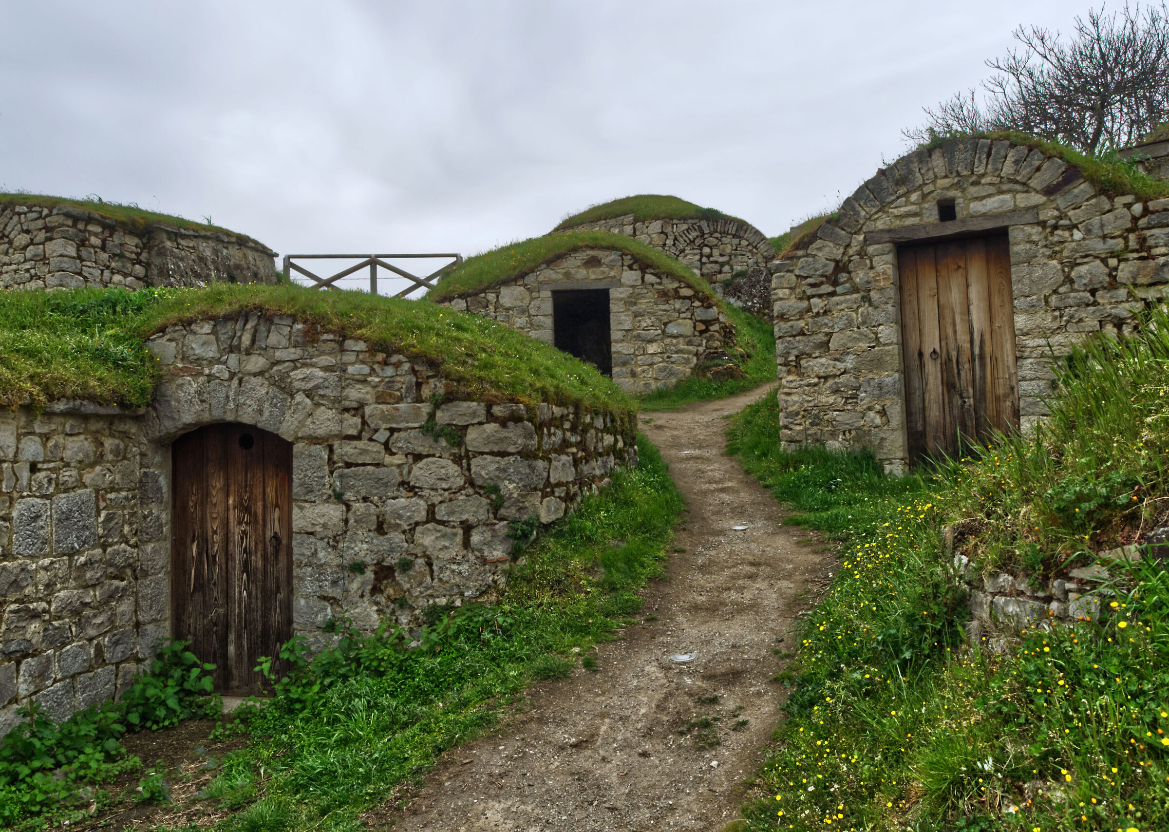 Palmenti di Pietragalla